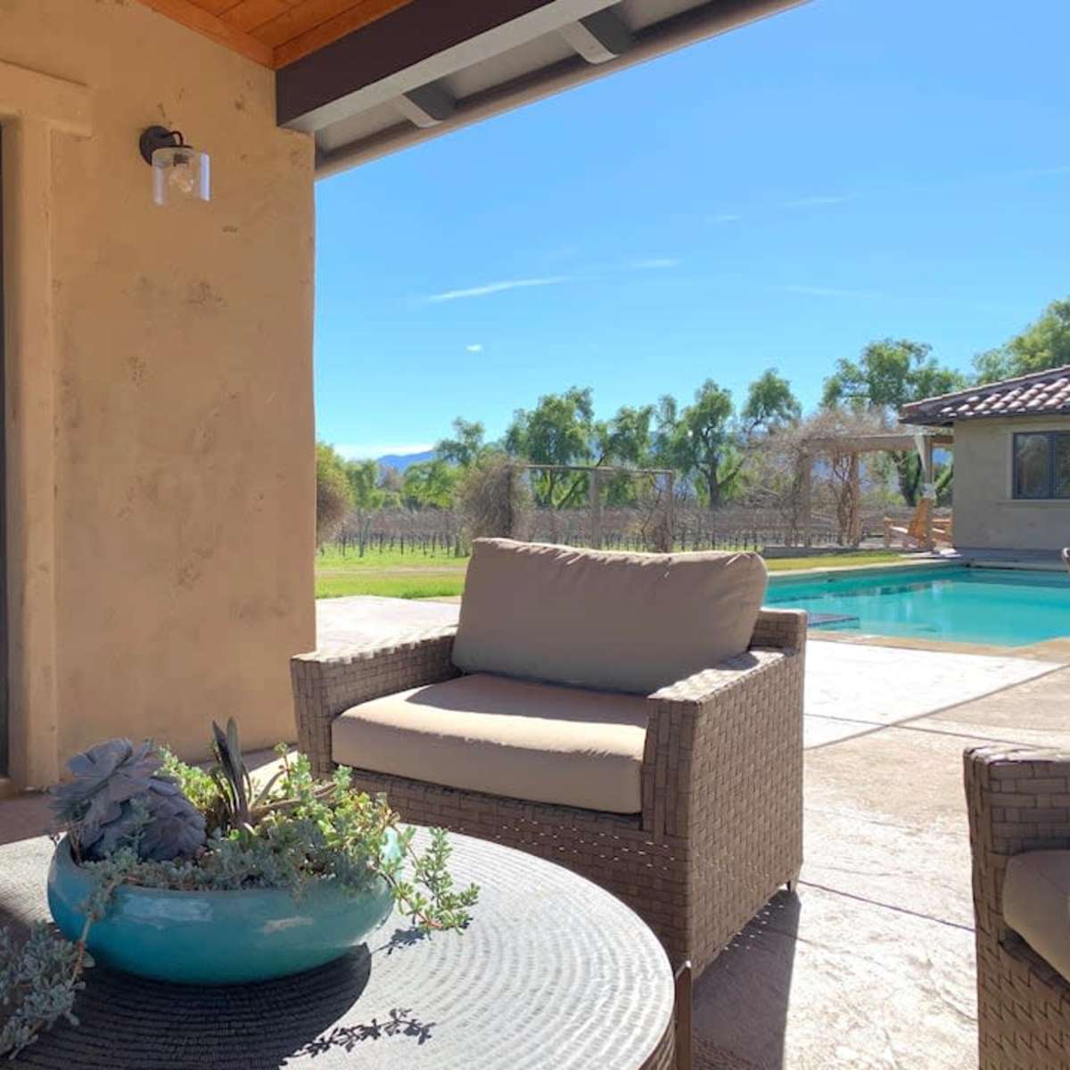 A patio area with wicker chairs and a table featuring a plant, overlooking a pool and a landscaped garden with trees in the background.