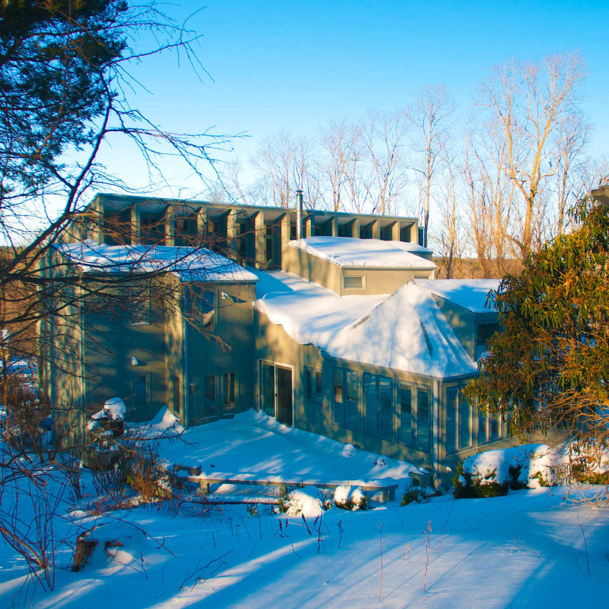 A modern, angular house is partially covered in snow and surrounded by leafless trees in a winter landscape.