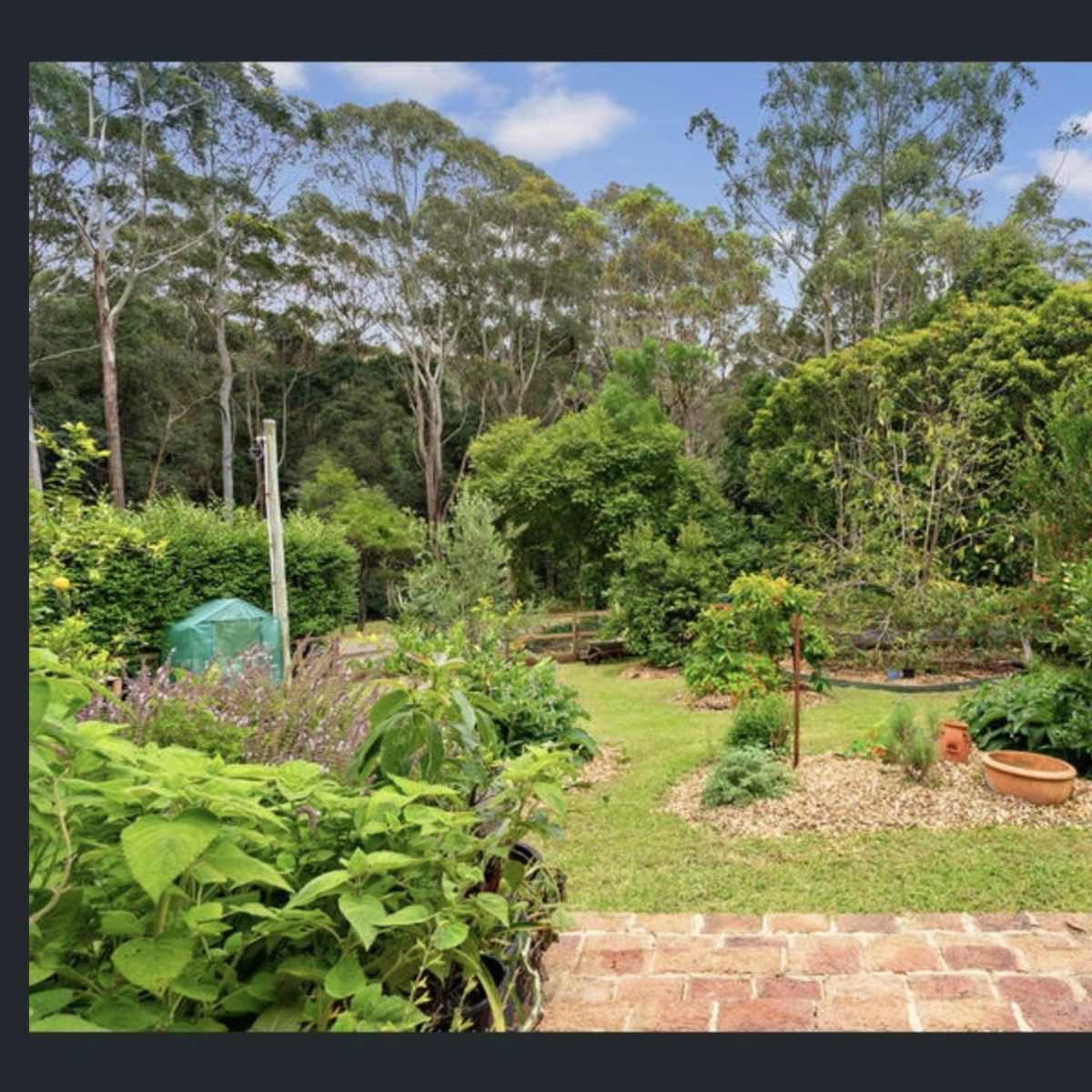 A lush garden with various plants and trees, surrounded by a dense forest under a clear sky.