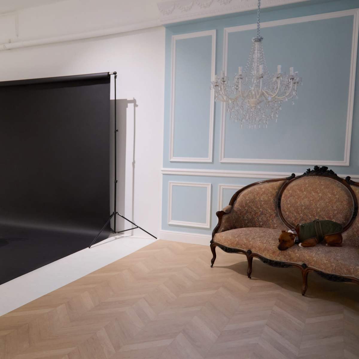 NEW! "Maestra" Studio Photo in Paris! in paris Image in Belleville, paris, 