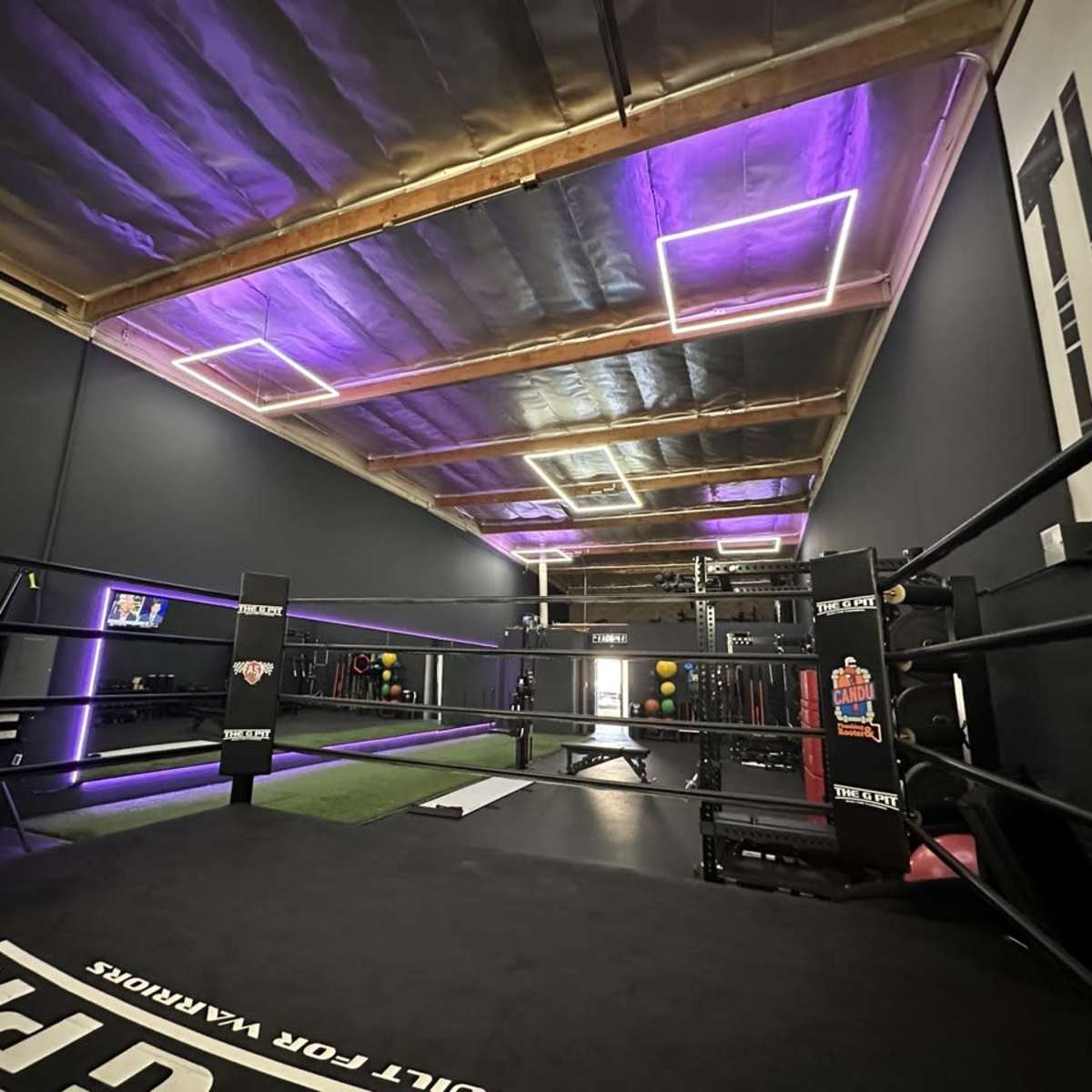 A modern boxing gym with a ring at the center, illuminated by purple LED lights and equipped with various training equipment along the walls.