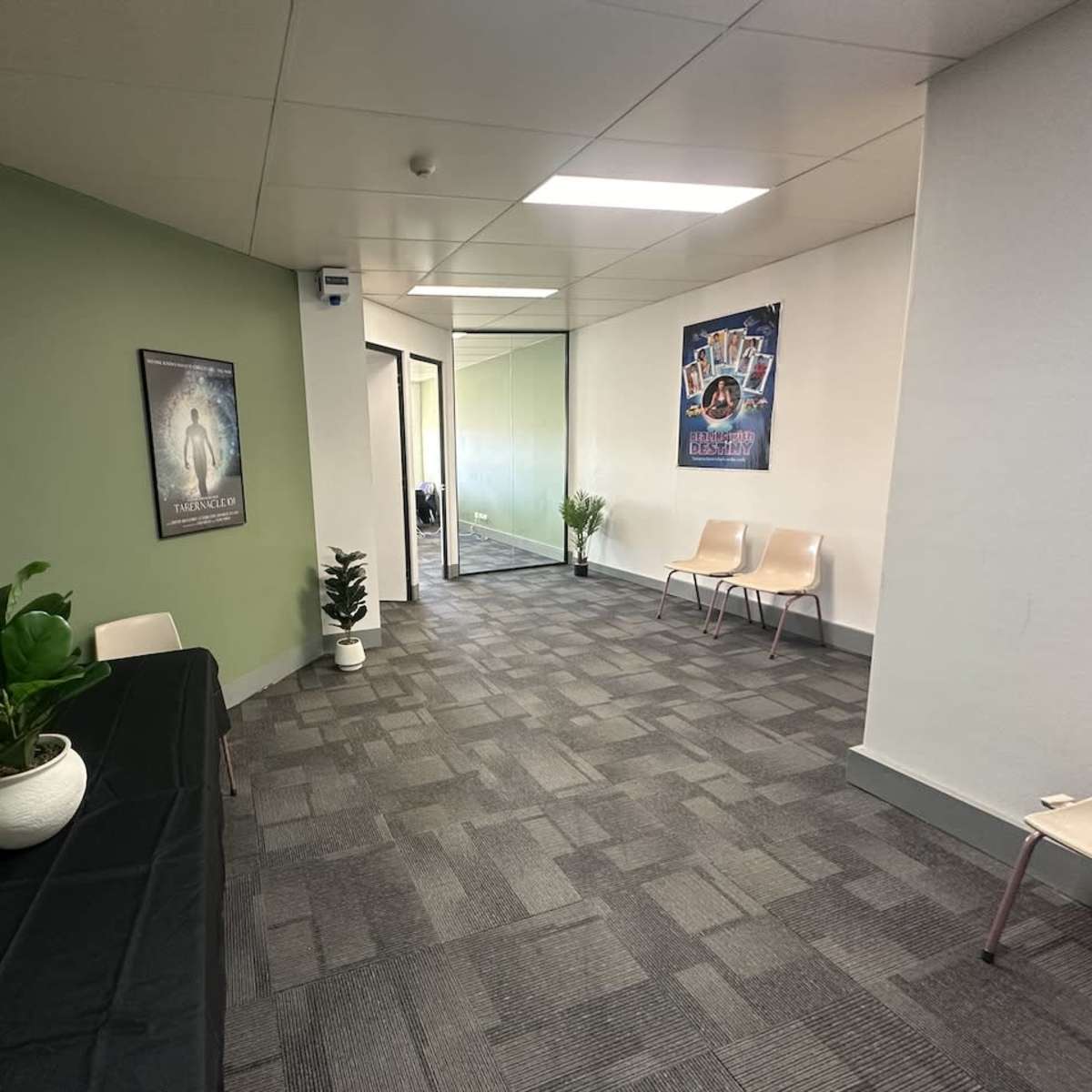 A corridor with a green wall, a table covered with a black cloth, two potted plants, and several chairs arranged along the wall.