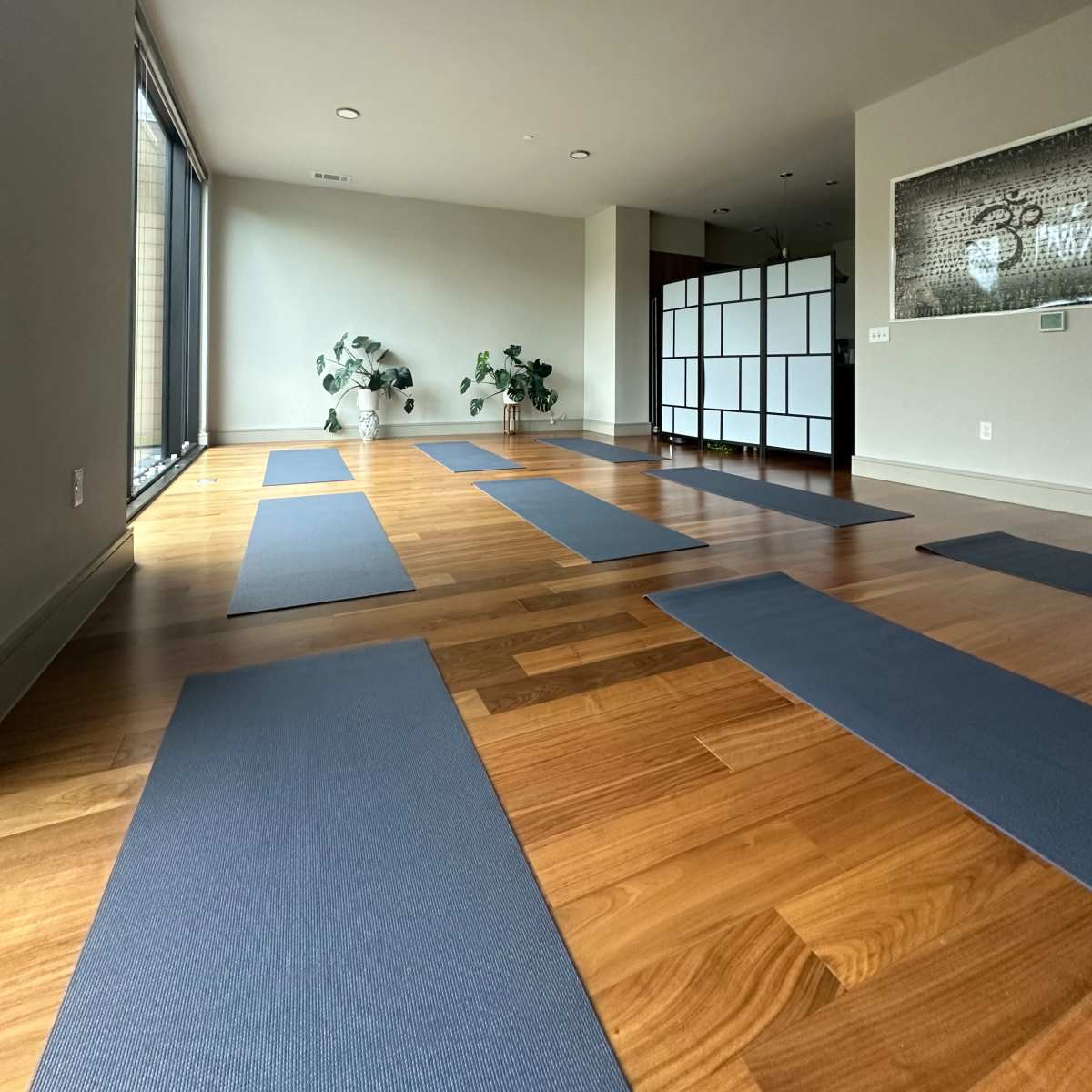 A spacious yoga studio with several yoga mats arranged on a wooden floor near large windows and plants.
