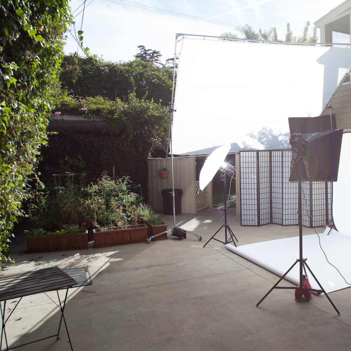 A photography setup in a backyard, featuring a white backdrop, lighting equipment, and a portable screen surrounded by greenery.