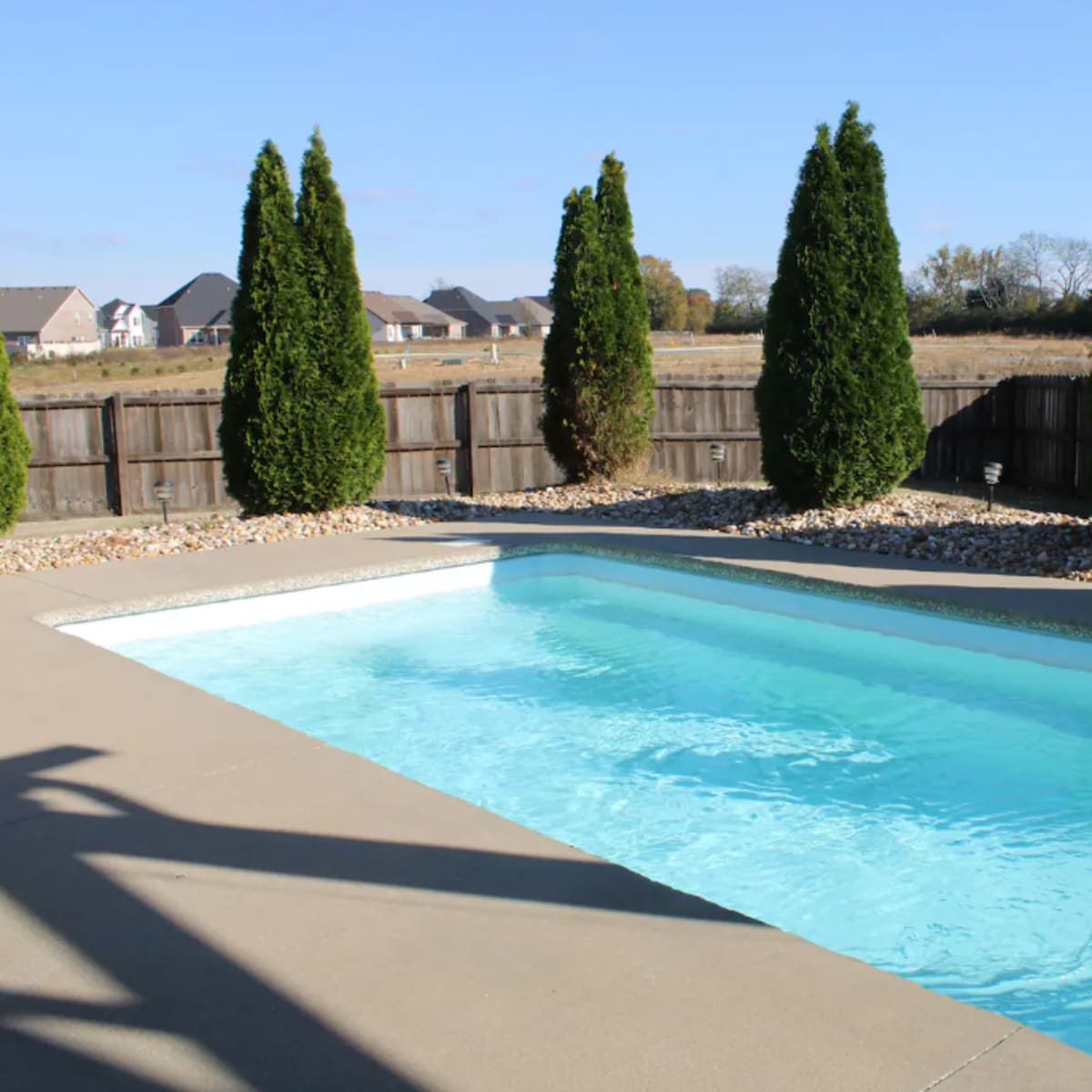 A rectangular swimming pool surrounded by a concrete deck and bordered by tall conifer trees.