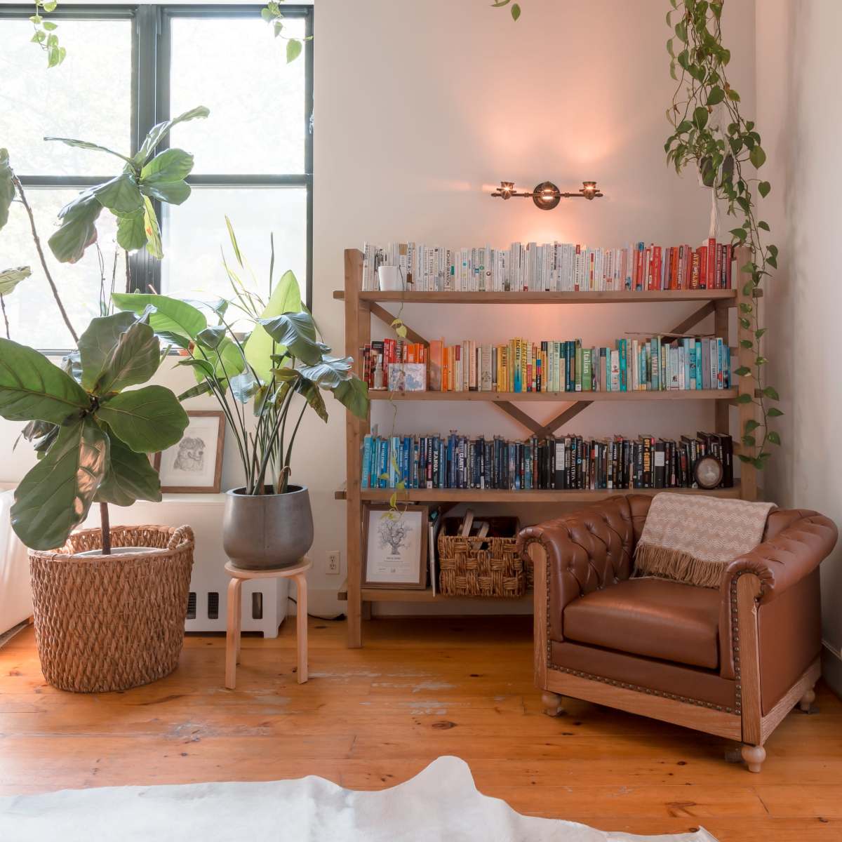 A cozy room with a wooden bookshelf filled with colorful books, a brown leather armchair, indoor plants, and a visible exercise bike in the corner.