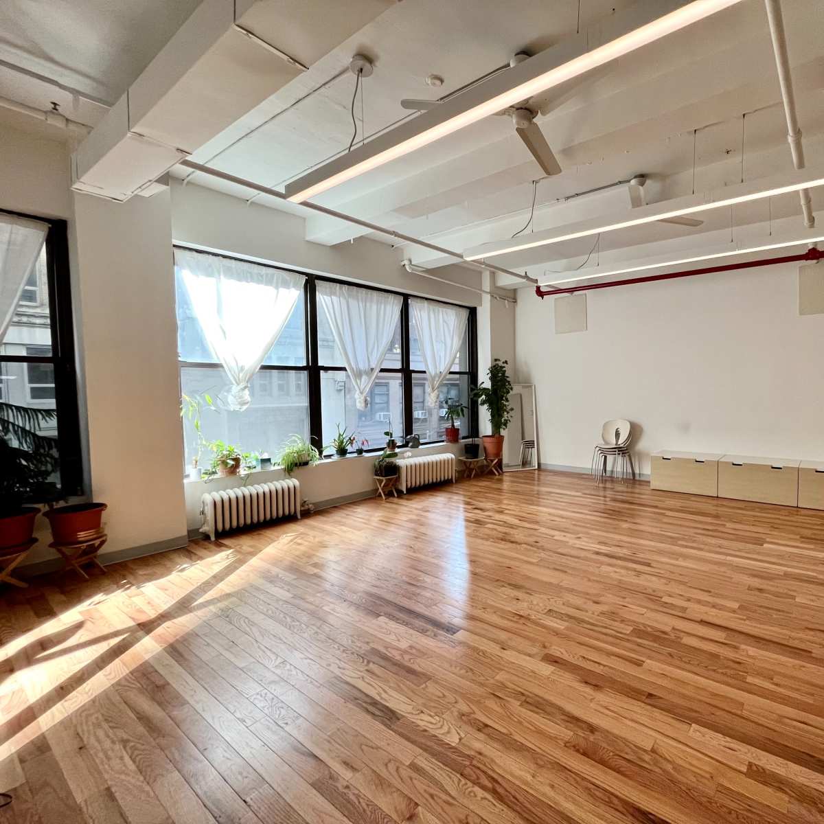 A spacious room with wooden floors, large windows allowing natural light, and potted plants near the windows.