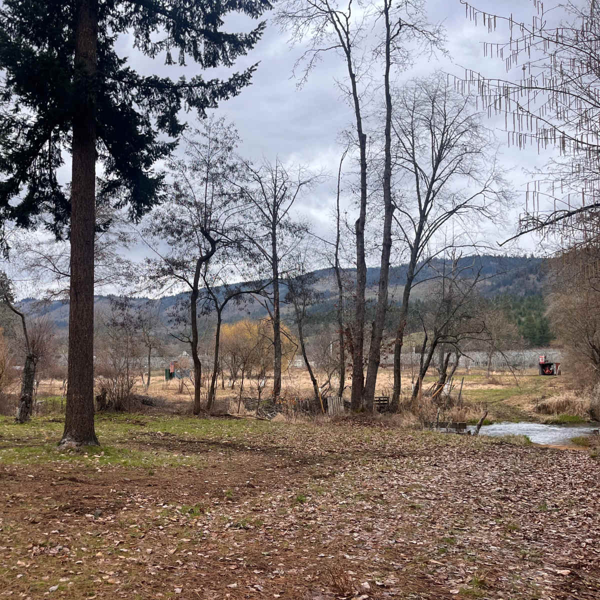 A view of a riverside area featuring trees, bare branches, and a distant mountainous landscape under a cloudy sky.