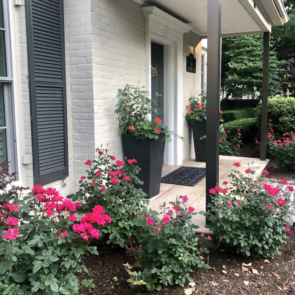 A front porch with two tall planters containing plants, flanked by pink rose bushes and a welcome mat on the tiled entrance.