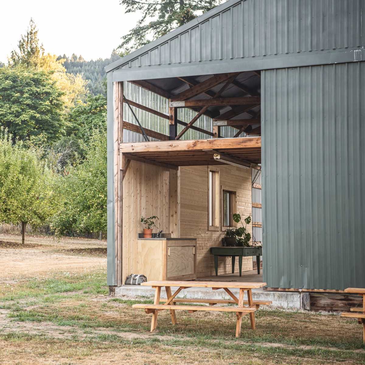 A metal-clad building with a wooden porch is set near an orchard of trees in a grassy area.