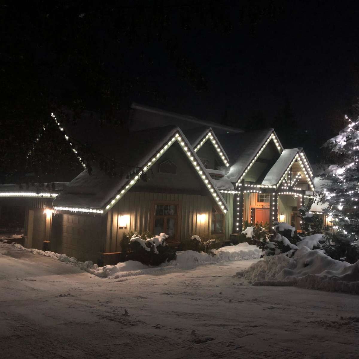 A house is decorated with white lights along the edges of the roof and a nearby tree is illuminated, surrounded by snow at night.