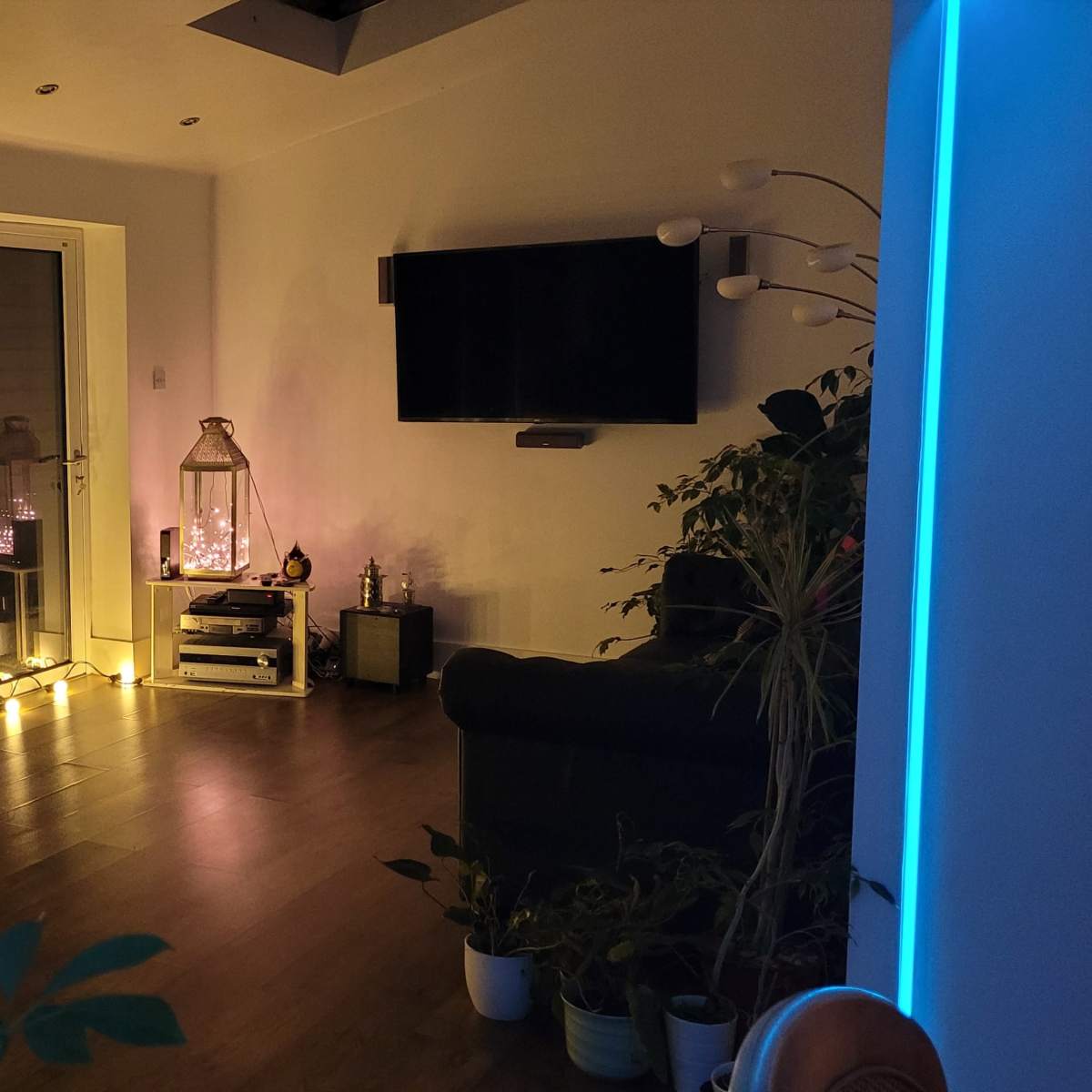 A dimly lit room features sliding glass doors, a television mounted on the wall, and a collection of plants along with a decorative lantern on the floor.