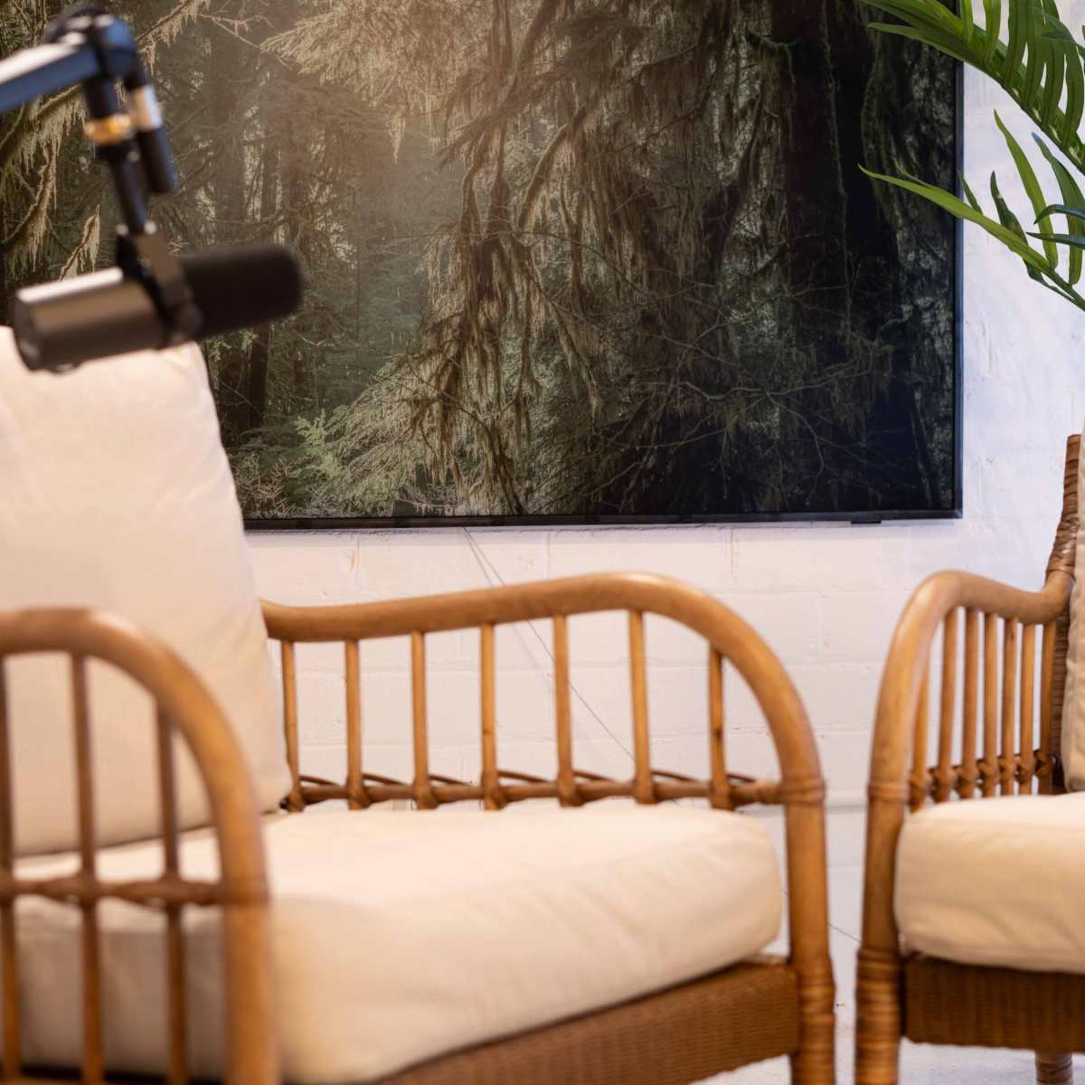 Two rattan chairs with white cushions positioned in a brightly lit room featuring a large nature-themed artwork and a potted plant in the background.