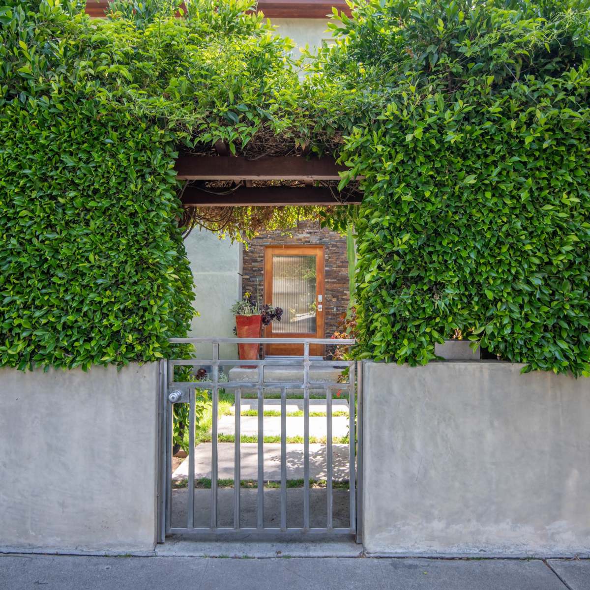 A metal gate is surrounded by tall green hedges in front of a house entrance.