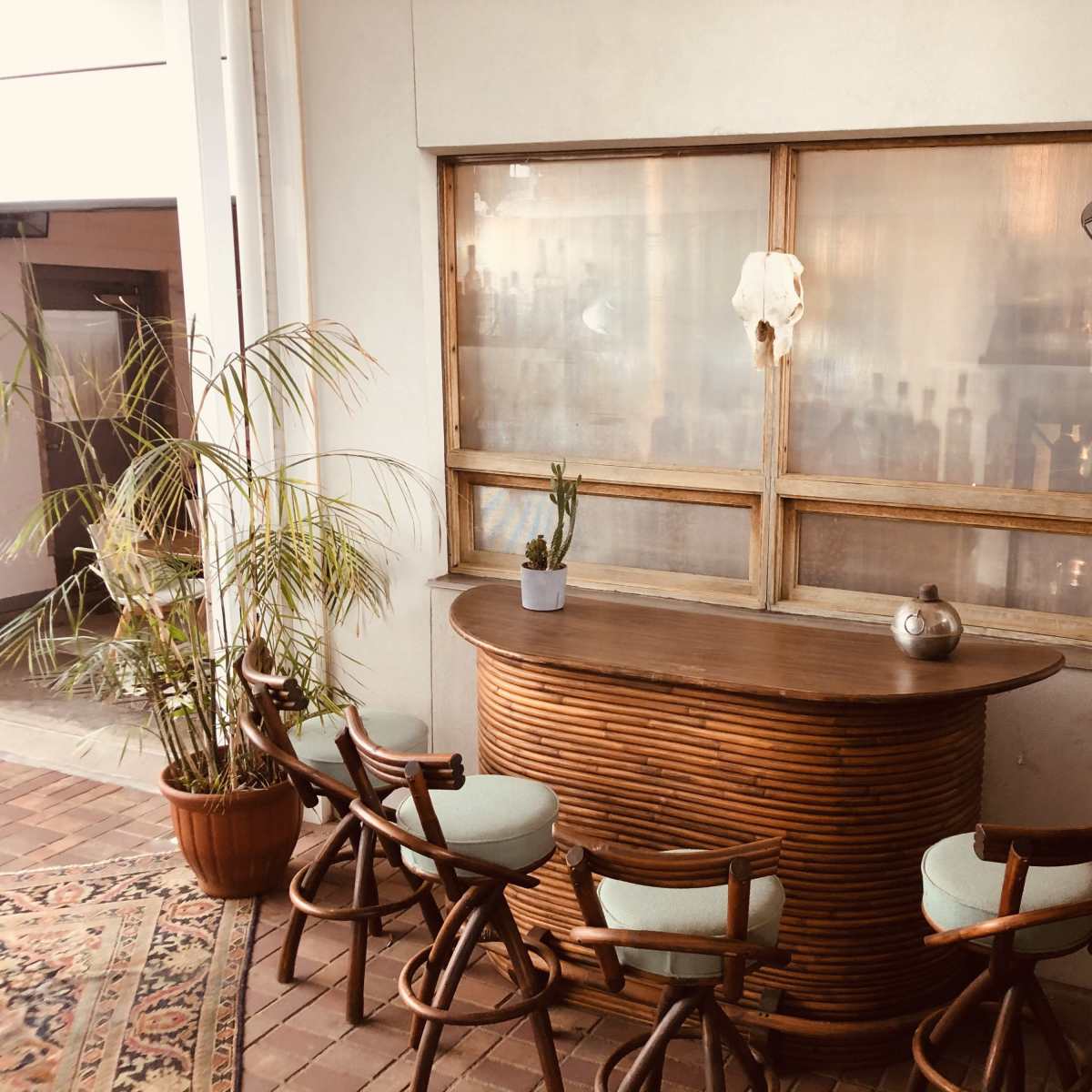 A curved wooden bar is positioned against a window with a potted plant nearby and several wooden chairs arranged around it.