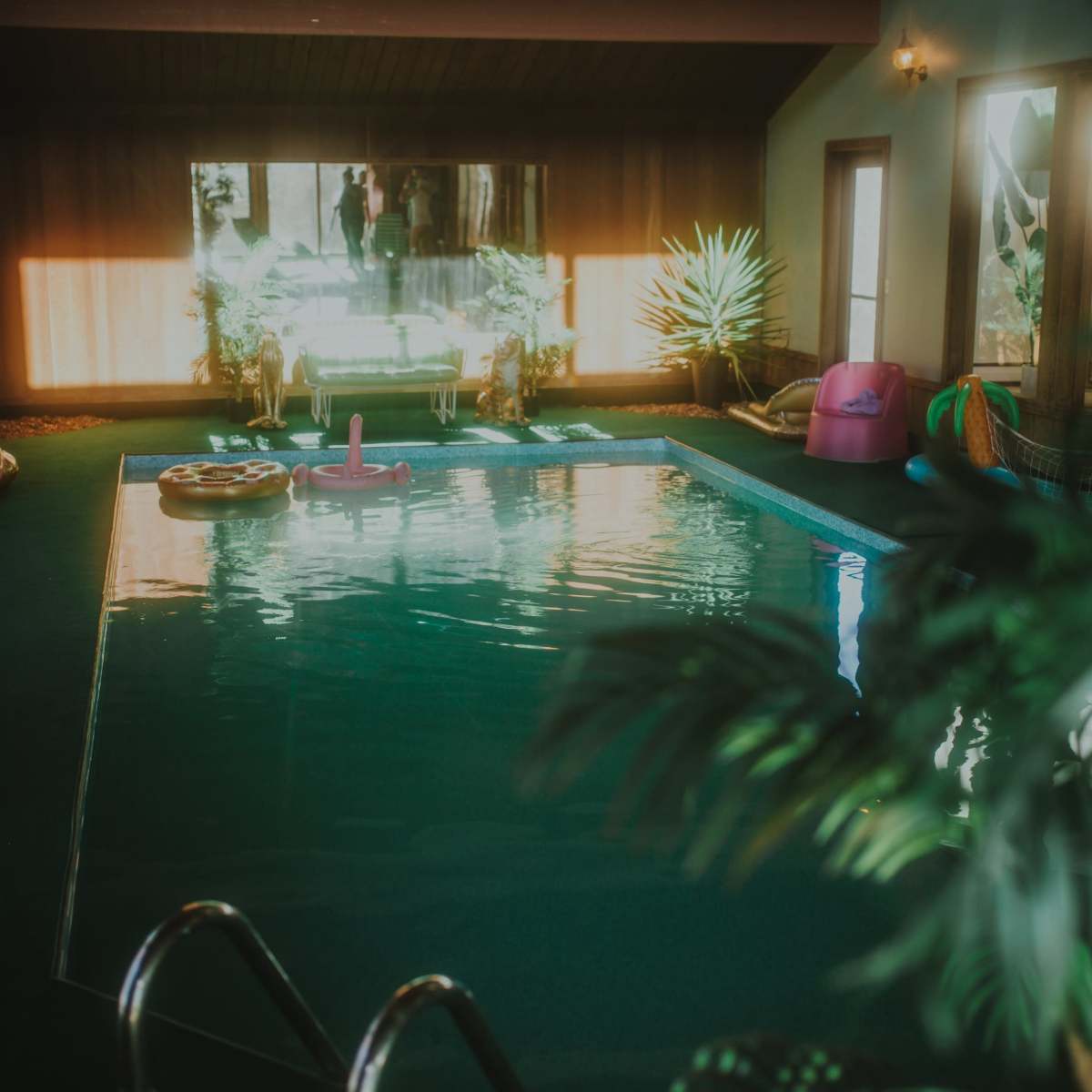 An indoor swimming pool surrounded by plants and colorful floatation devices.