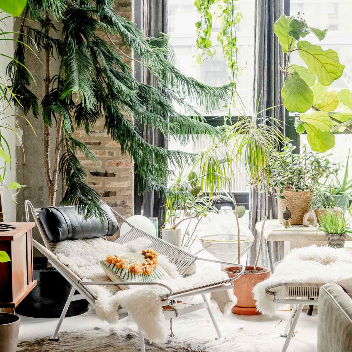 The scene features a bright indoor space filled with various plants, a lounge chair draped in a fur throw, and natural light streaming through large windows.