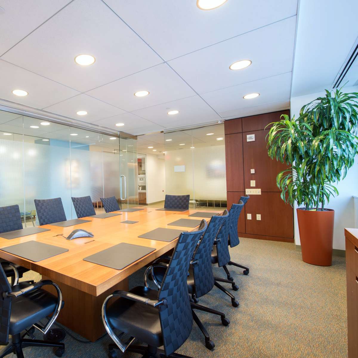A modern conference room features a large wooden table surrounded by black swivel chairs, with glass walls and a potted plant in the corner.