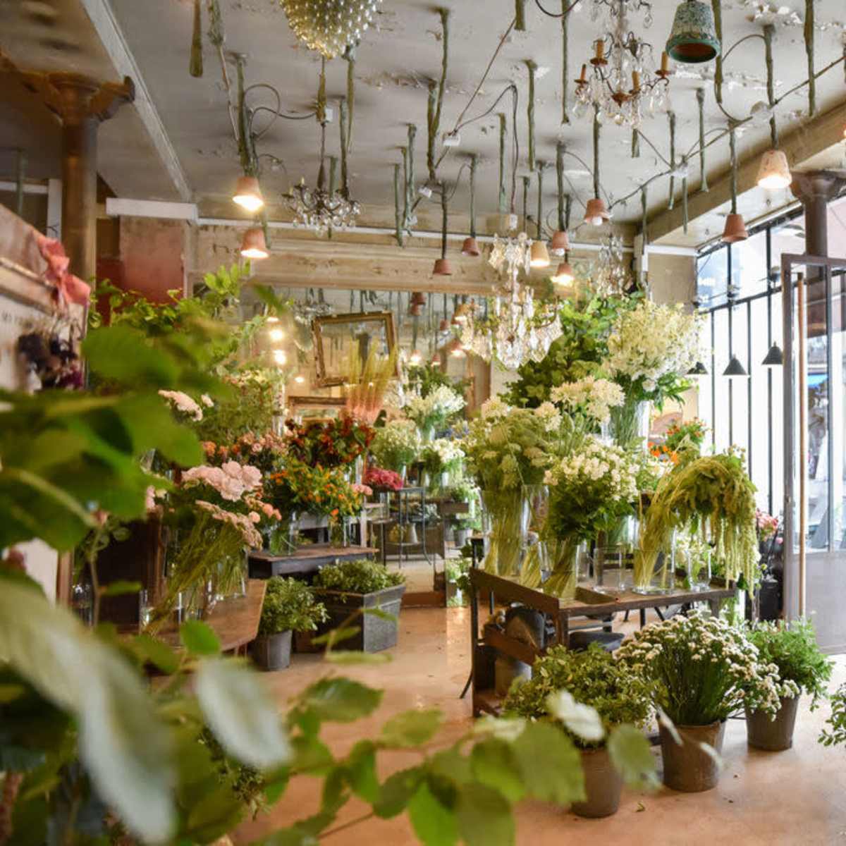 A flower shop filled with various arrangements of flowers and plants displayed in glass vases and pots.