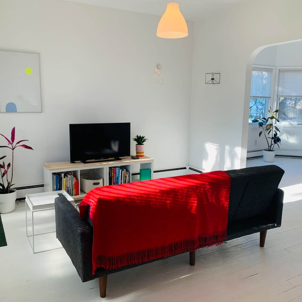 The room features a couch draped with a red blanket, a television on a wooden stand, and plants positioned around a bright, minimalist space.