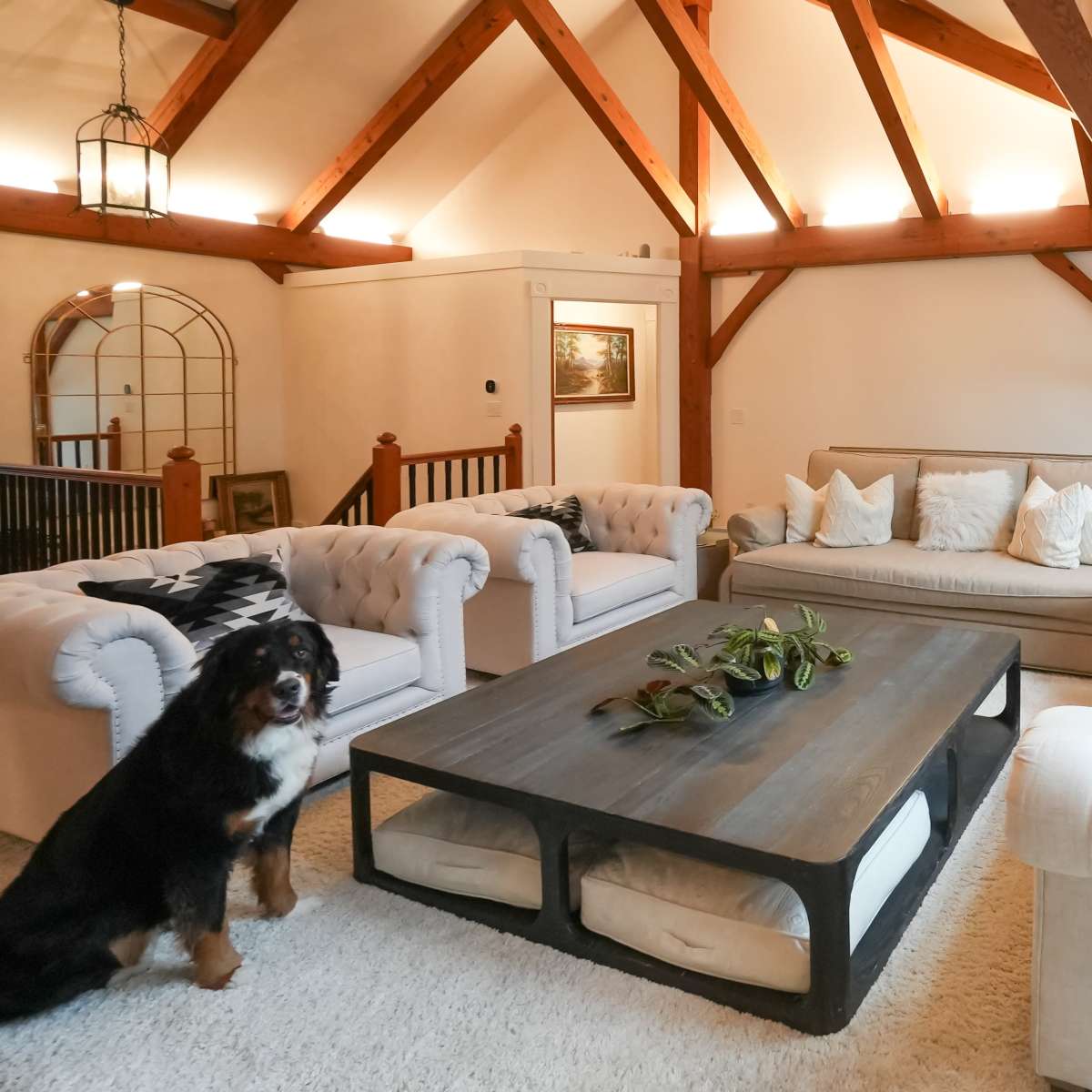 A spacious living room features a central coffee table surrounded by two tufted sofas and a large dog standing by, with exposed wooden beams overhead.