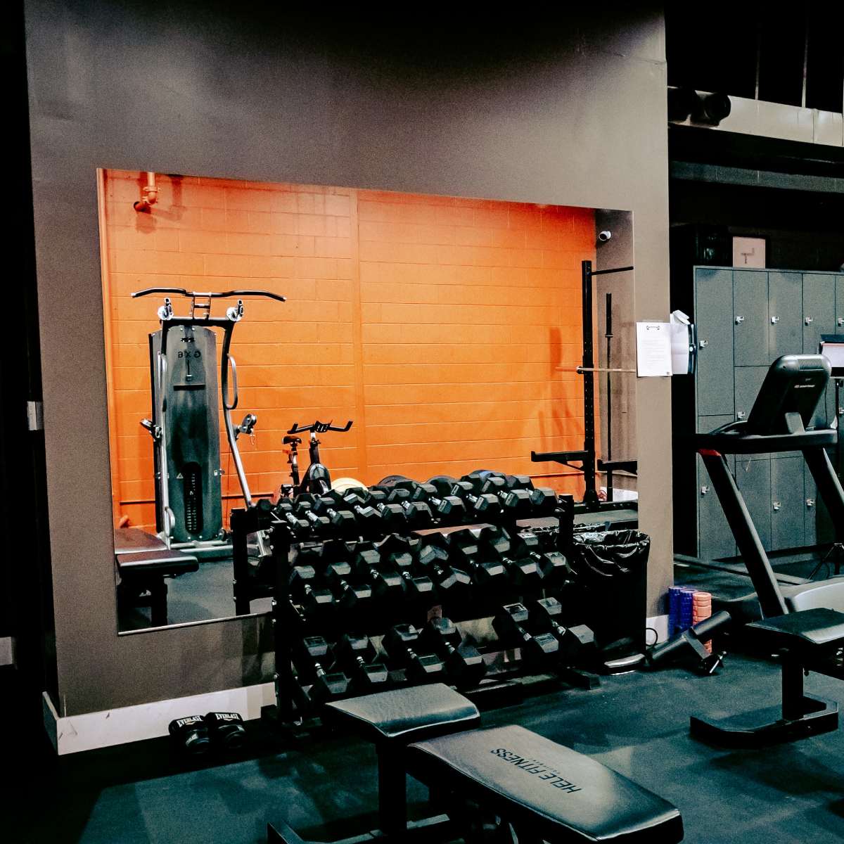 Private Gym For Content And Training, Calgary | Production | Peerspace