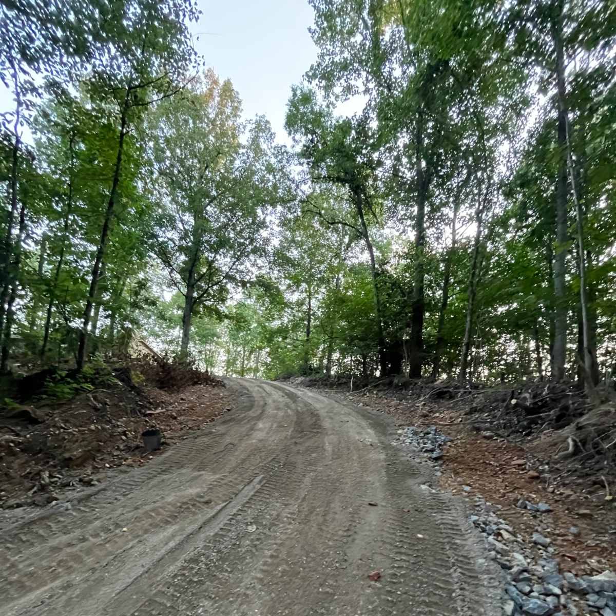 A dirt road winds through a wooded area, surrounded by trees and uneven terrain.