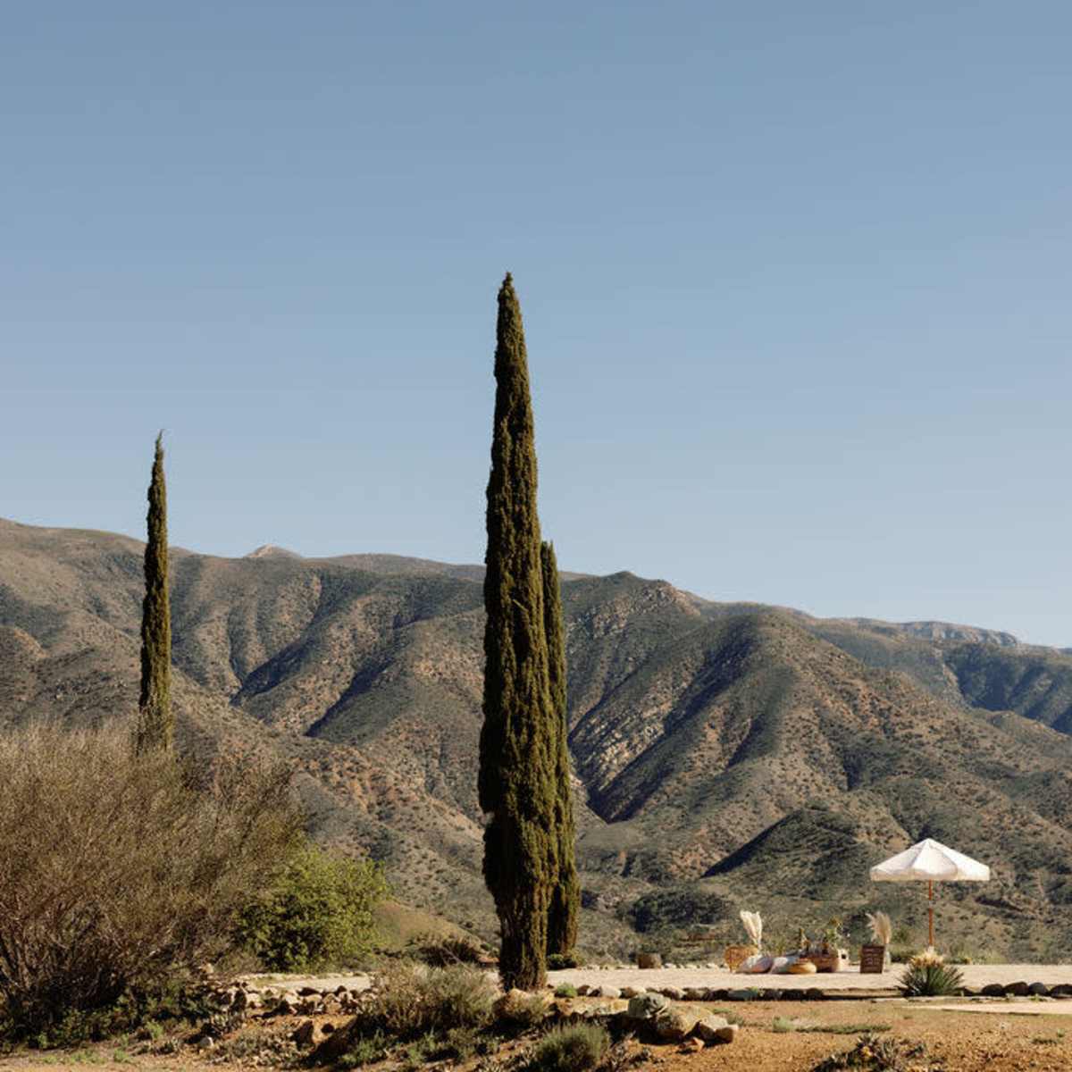 A landscape with tall cypress trees in the foreground and rolling mountains in the background under a clear blue sky.
