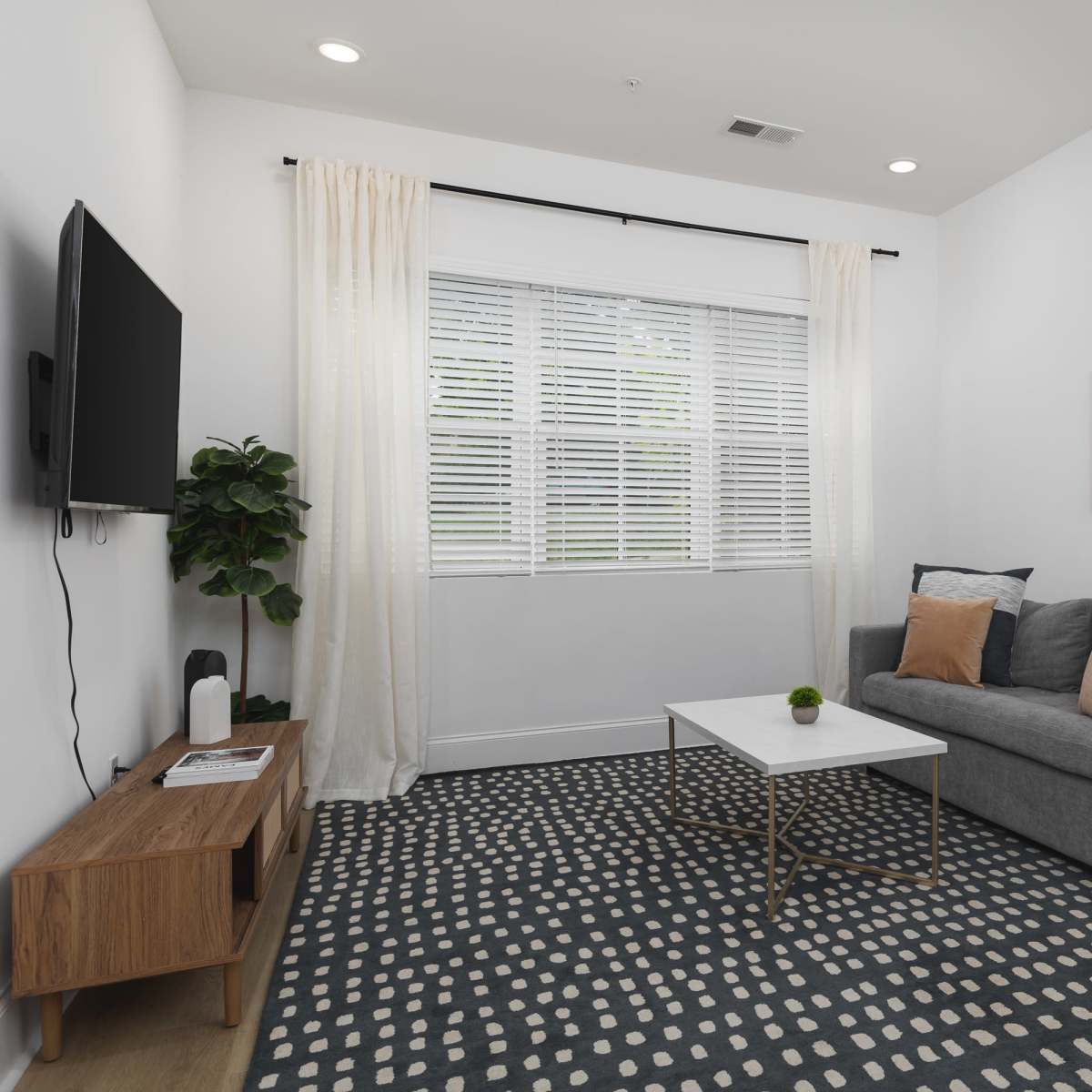 A modern living room features a gray sofa, a coffee table on a patterned rug, and a window with sheer curtains.