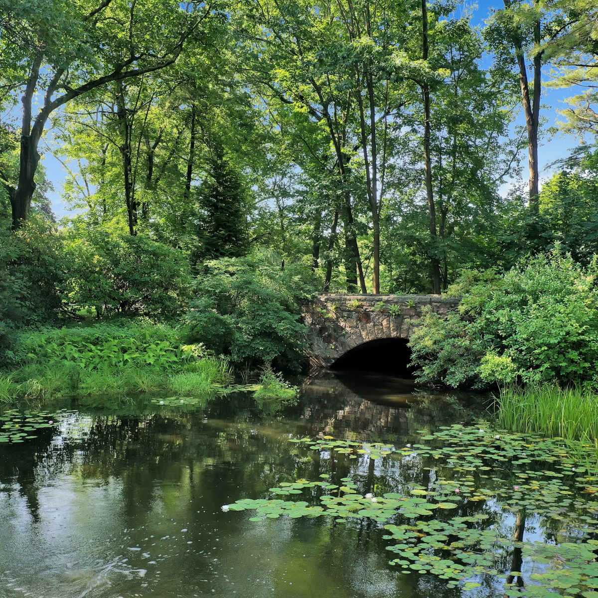 A stone arch bridge crosses over a calm pond surrounded by lush greenery and lily pads.