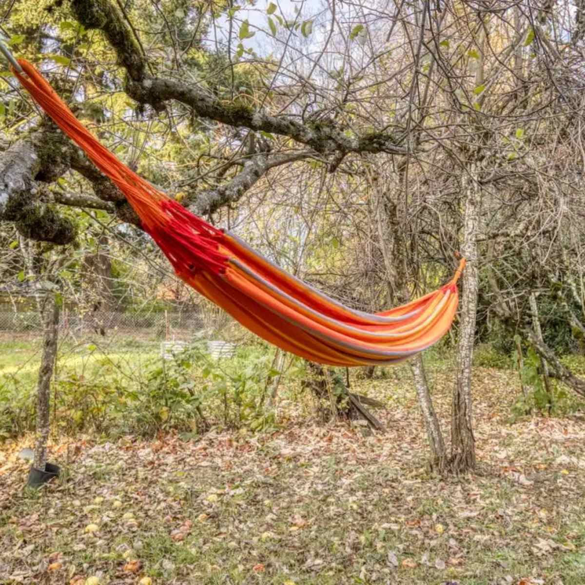 A colorful hammock is suspended between two trees in a grassy area surrounded by fallen leaves.