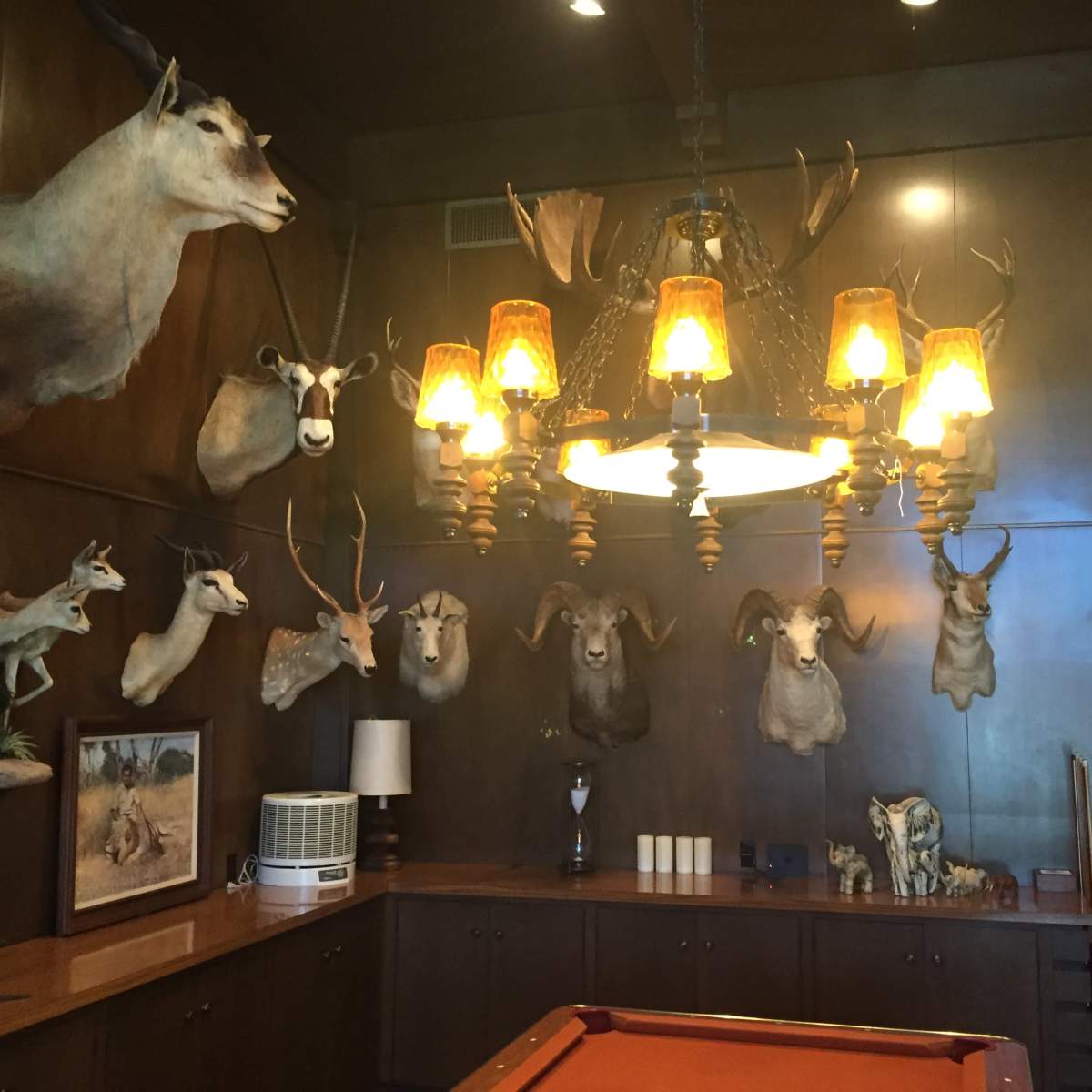 The room features a chandelier, a pool table, and numerous mounted animal heads on the wooden walls.