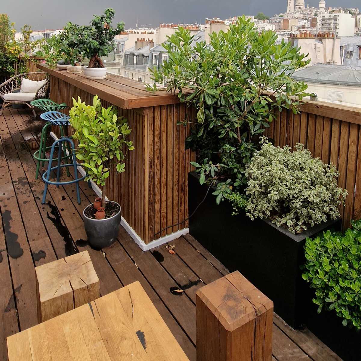 A rooftop terrace with wooden flooring, potted plants, and a view of a cloudy skyline.