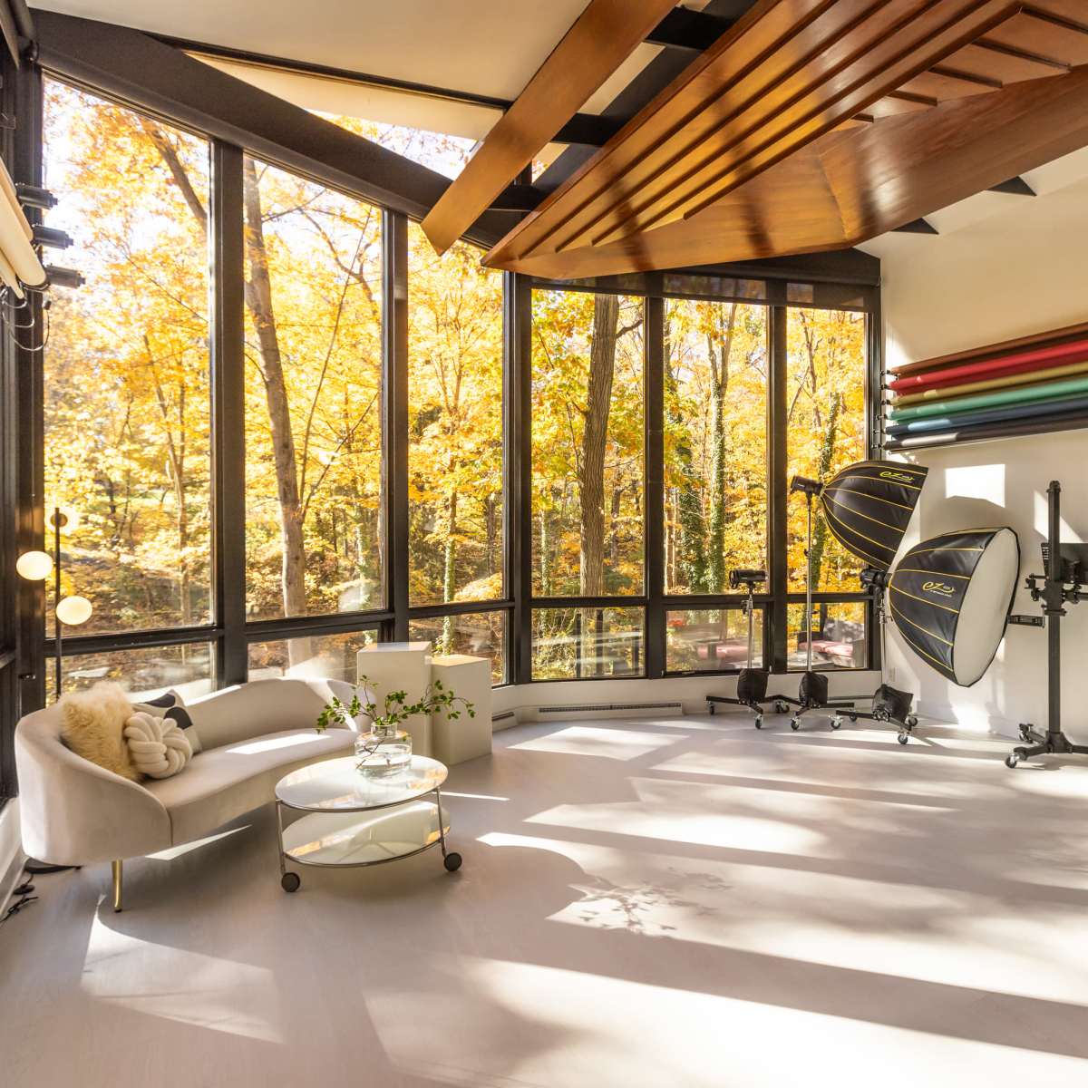Unique Photo Studio in Luxury Mid Century Modern Home in Pittsburgh Image in Bethel Park, Pittsburgh, PA
