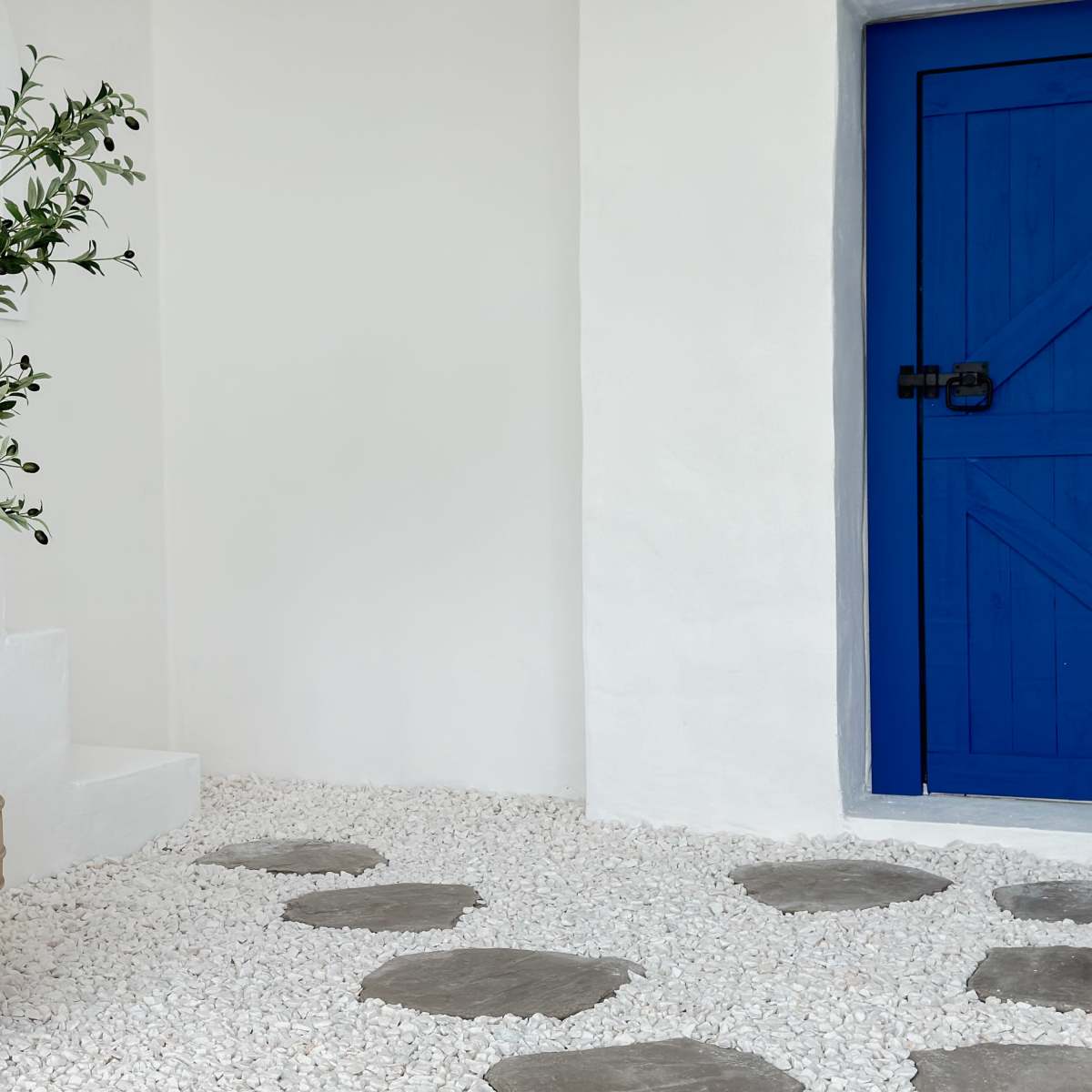 A potted olive tree stands next to a blue door on a white gravel path with stone stepping stones.