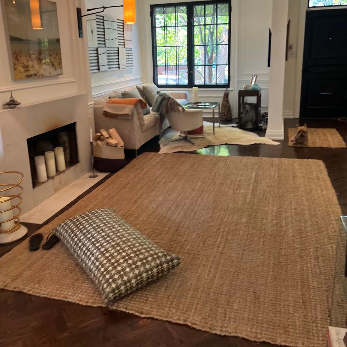 A cozy living room features a sofa, a coffee table, and a large area rug, with a fireplace and a window allowing natural light to enter.