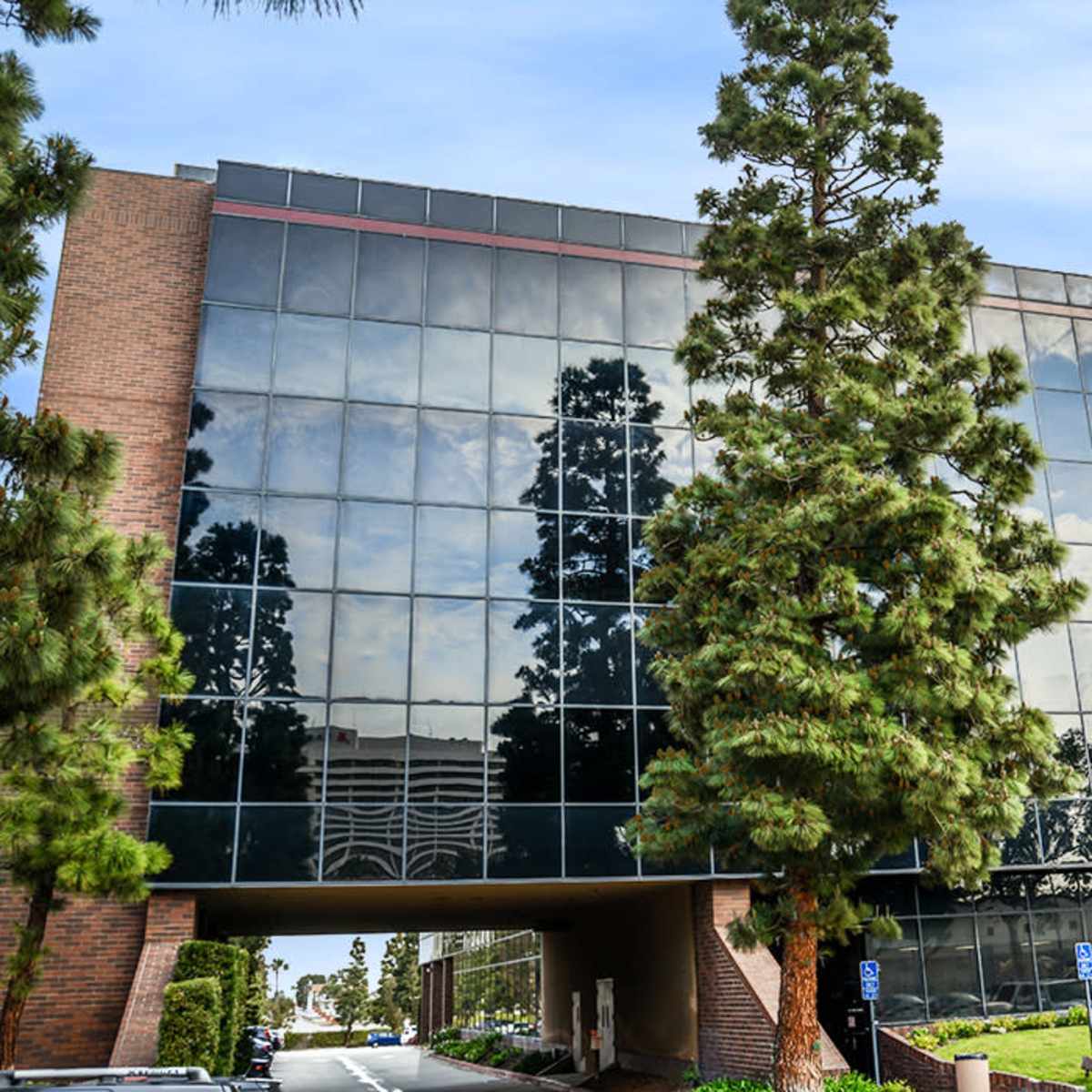 A modern office building with large reflective glass windows and a tall tree in the foreground.