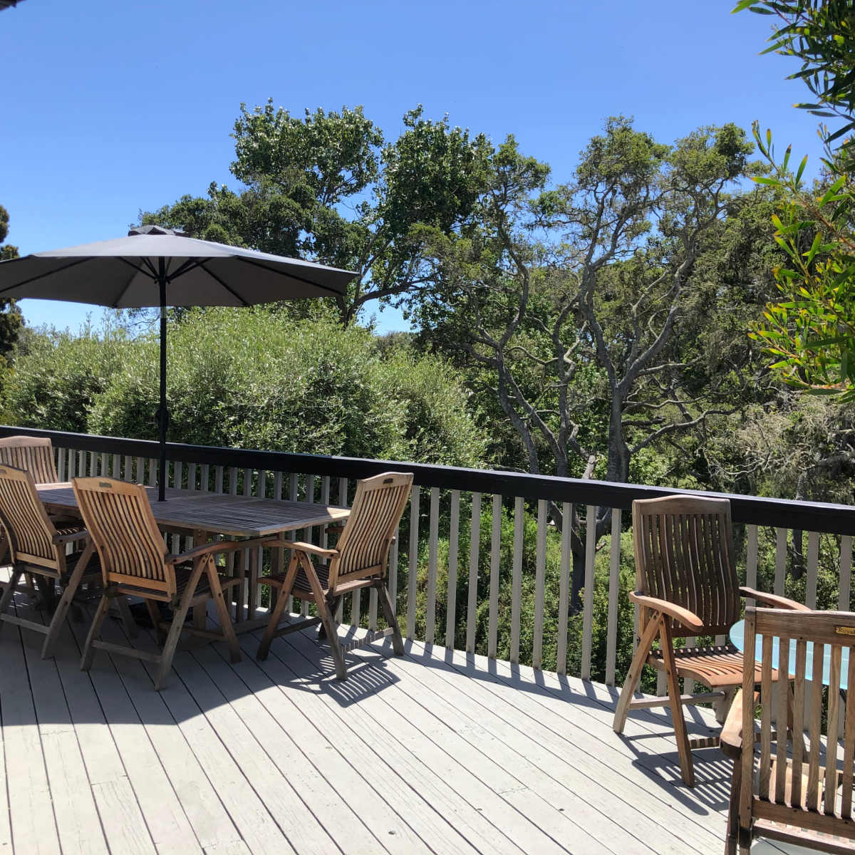 A wooden deck features a dining table surrounded by chairs and an umbrella, with greenery visible in the background.
