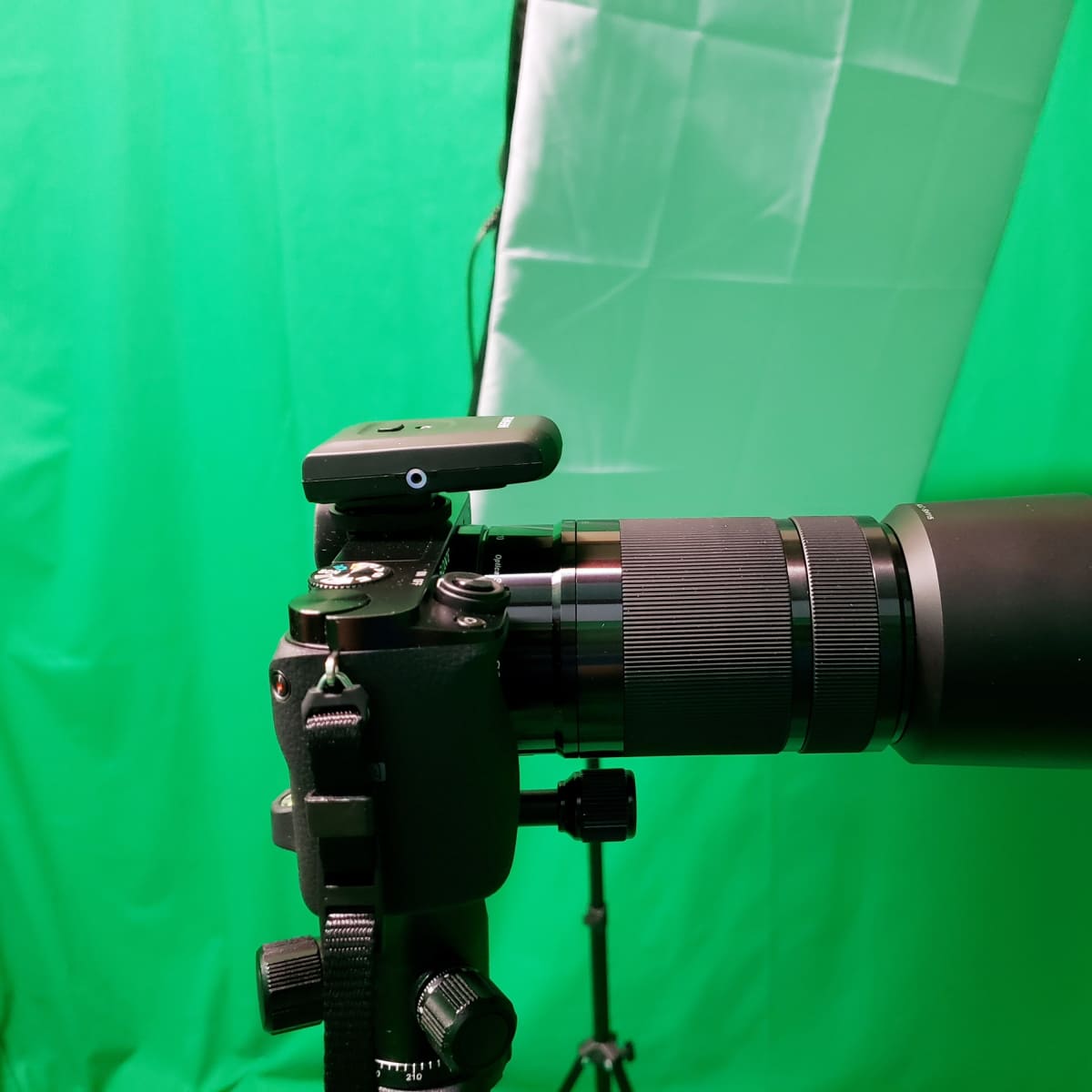 A camera with a large lens is mounted on a tripod in front of a green backdrop.