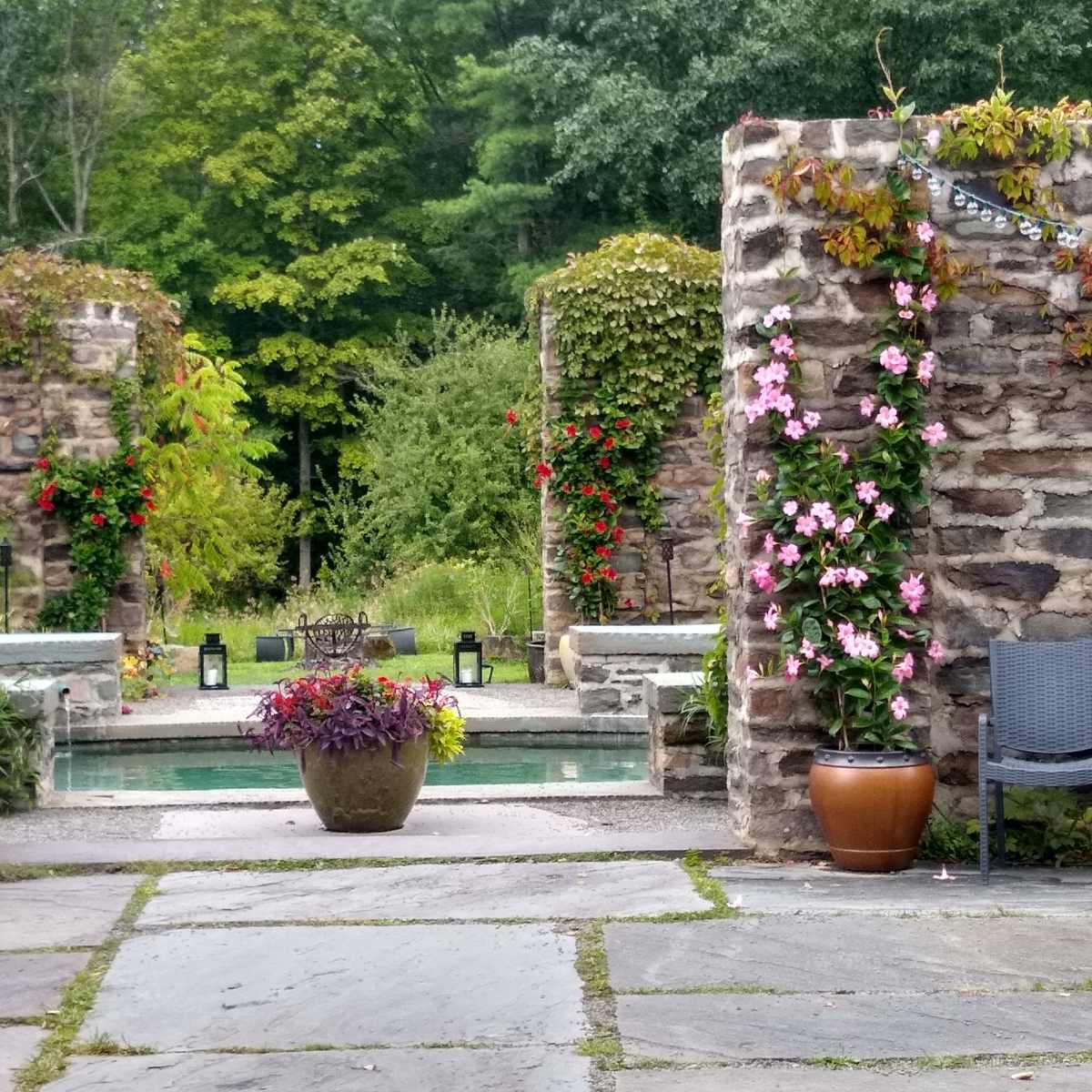 A stone courtyard with flowering vines on pillars, a central pool, and potted plants, framed by greenery in the background.