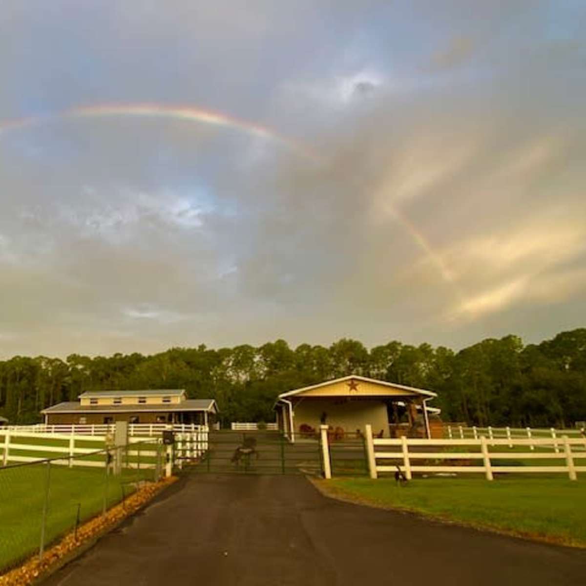 Angel's Animal Sanctuary in New Smyrna Beach Image in Spring Forest, New Smyrna Beach, FL