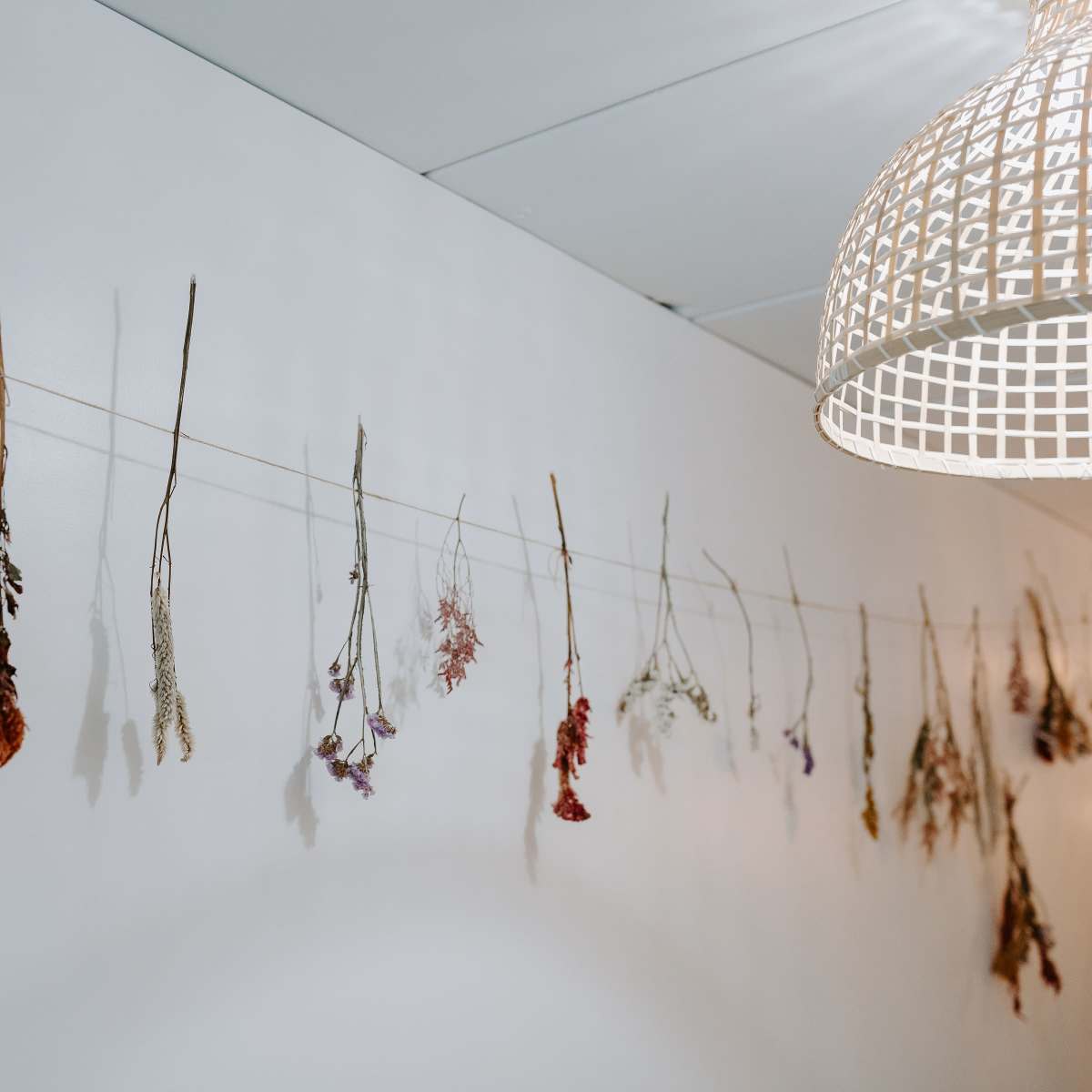 Dried flowers are hanging from a string on a white wall beneath a woven light fixture.