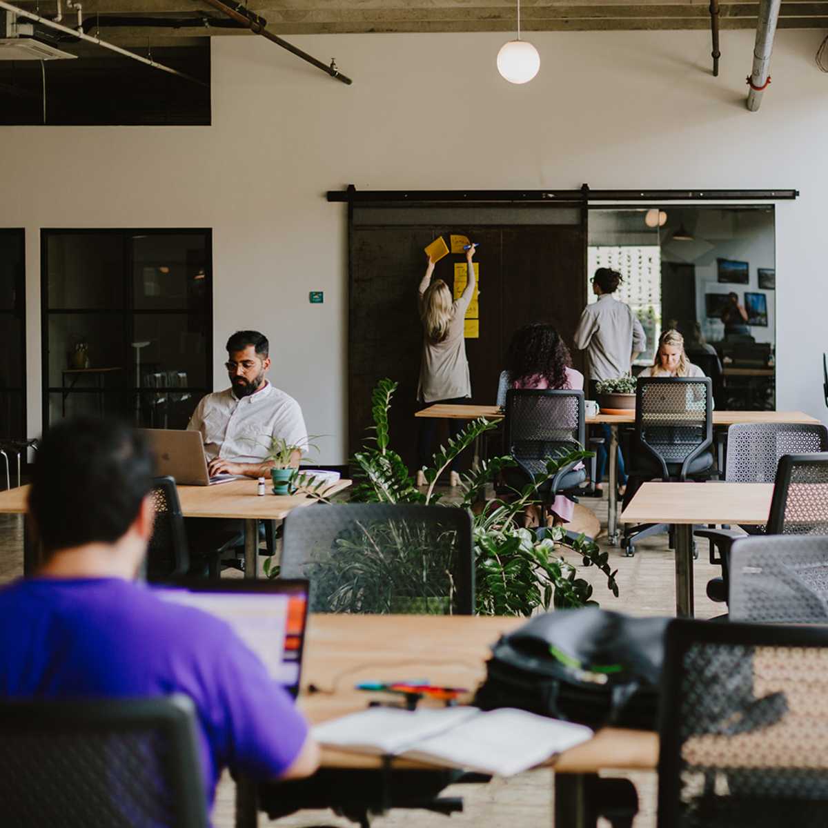 A spacious co-working space features people engaged in work, with large windows allowing natural light to enter and plants adding greenery to the environment.