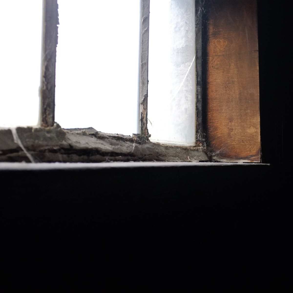 A partially illuminated window in a dark room, with visible cobwebs in the corners.