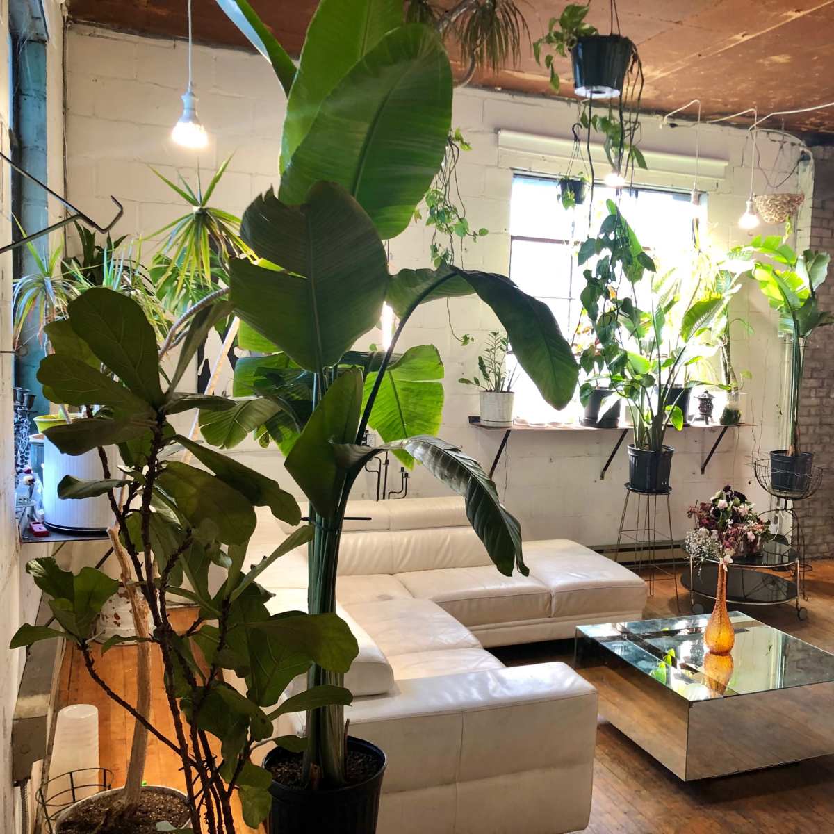 Diverse Multi-Use Studio with Massive Rooftop Downtown in Toronto Image in Downtown Toronto, Toronto, ON
