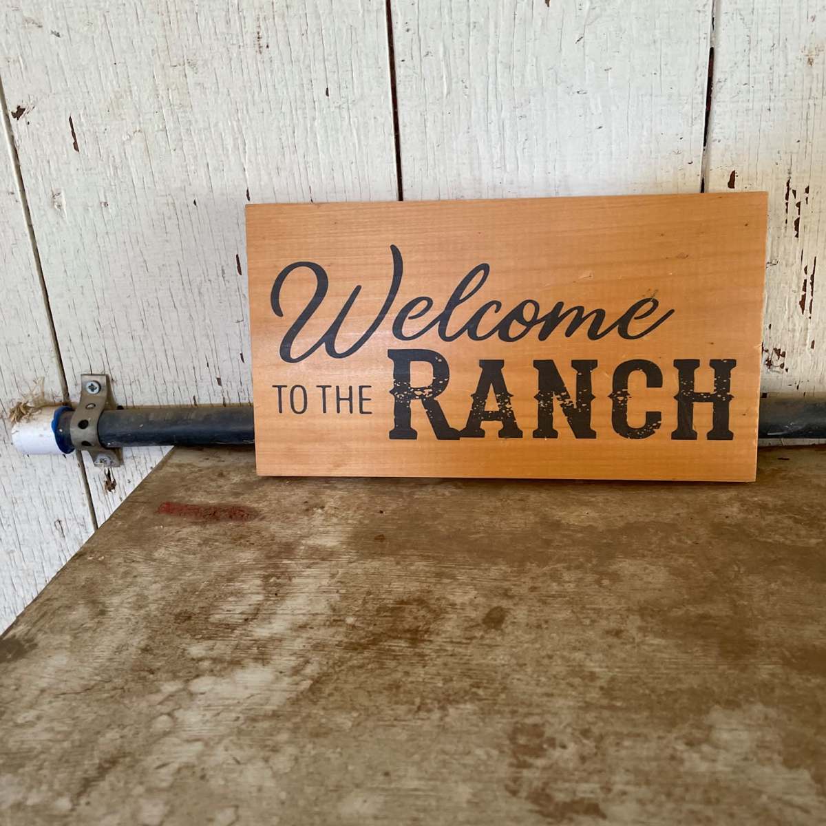 Therapeutic Barn Space - Animals included, Moorpark, CA | Event | Peerspace