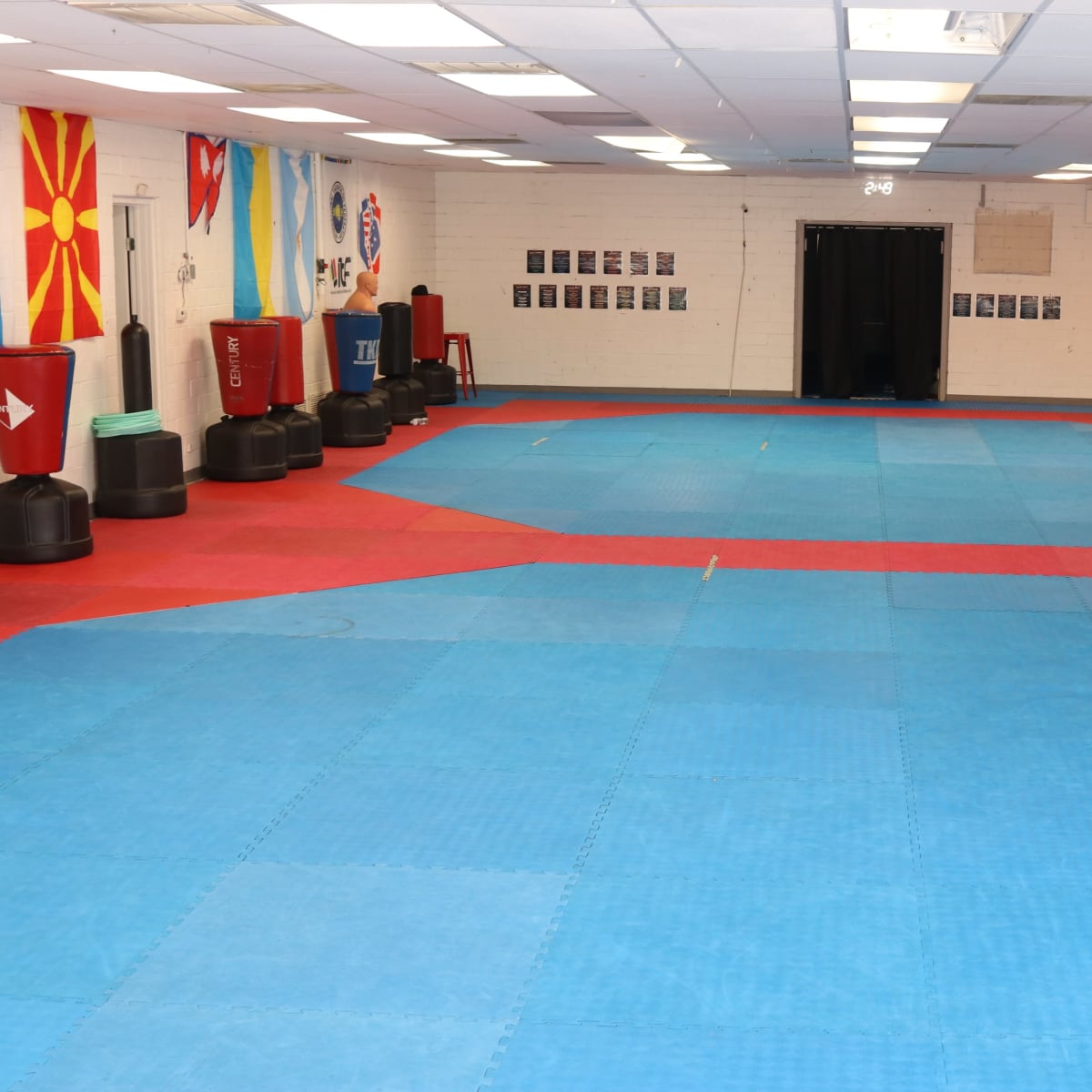 An empty martial arts training studio with blue and red mats, decorated with various flags on the walls.