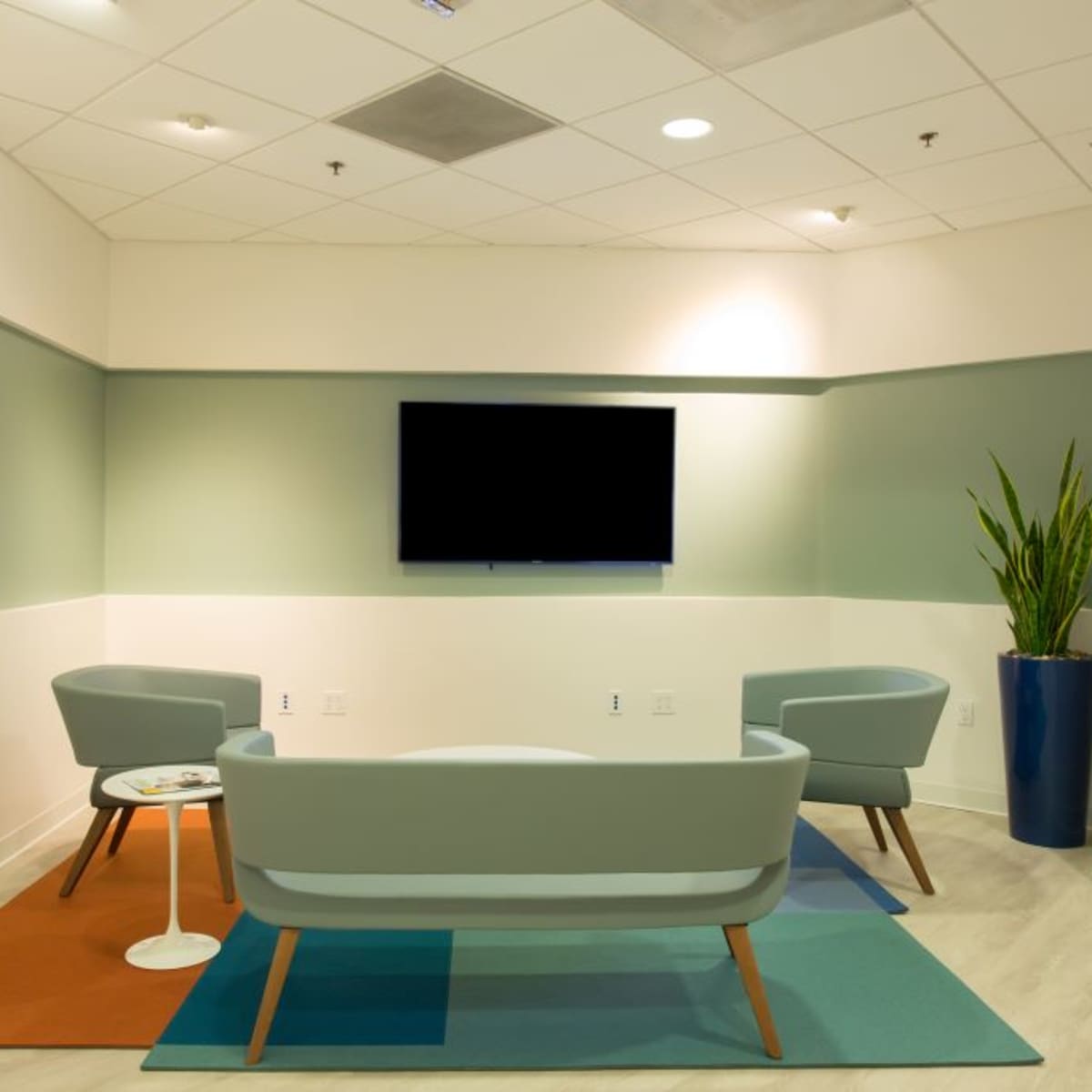 A waiting area features two gray chairs, a small round table, a potted plant, and a wall-mounted TV against a backdrop of colored walls and a multicolored area rug.