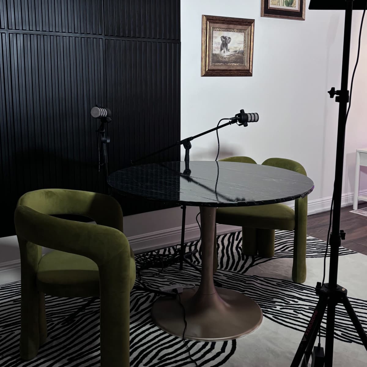 New Urban Podcast/Photo Studio in Orlando Image in Oak Ridge, Orlando, FL