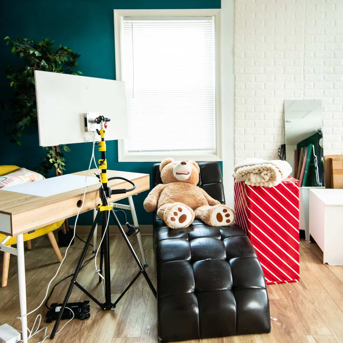 Spacious Photo Studio + Creative Space with Natural Light in College ...